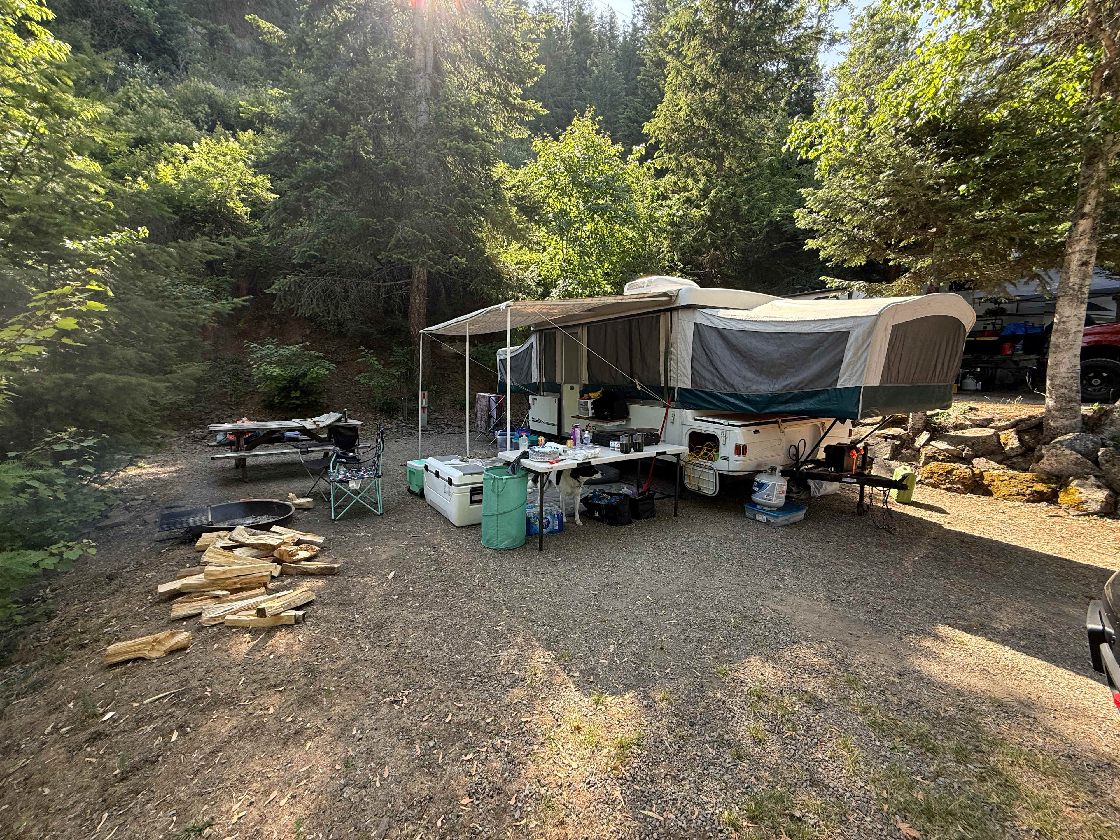 Picture of the site