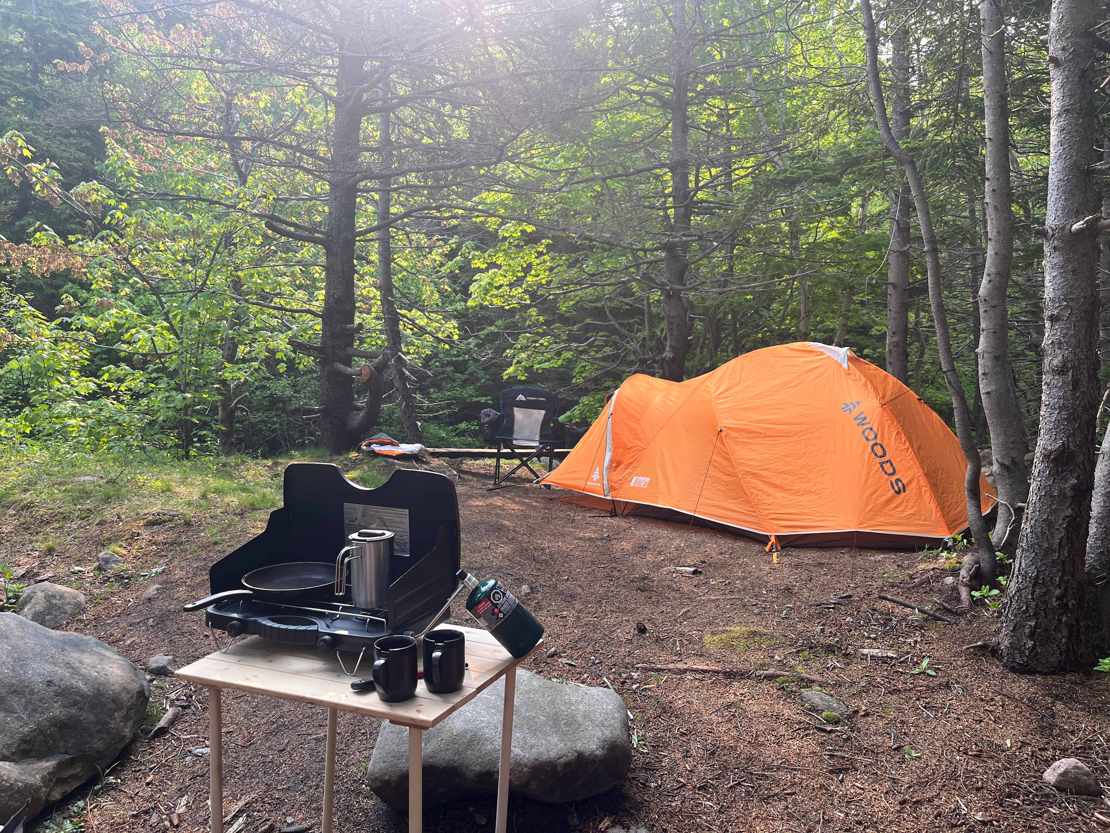 Picture of the site