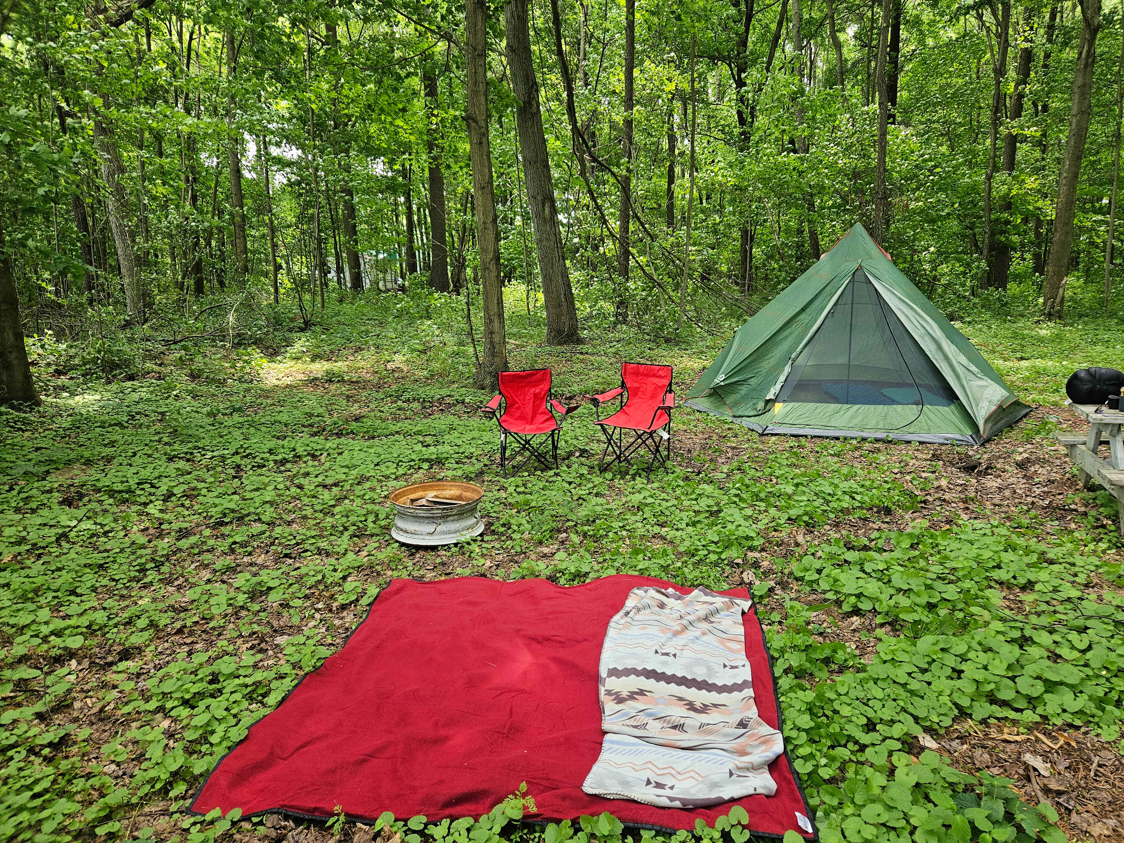 Picture of the site
