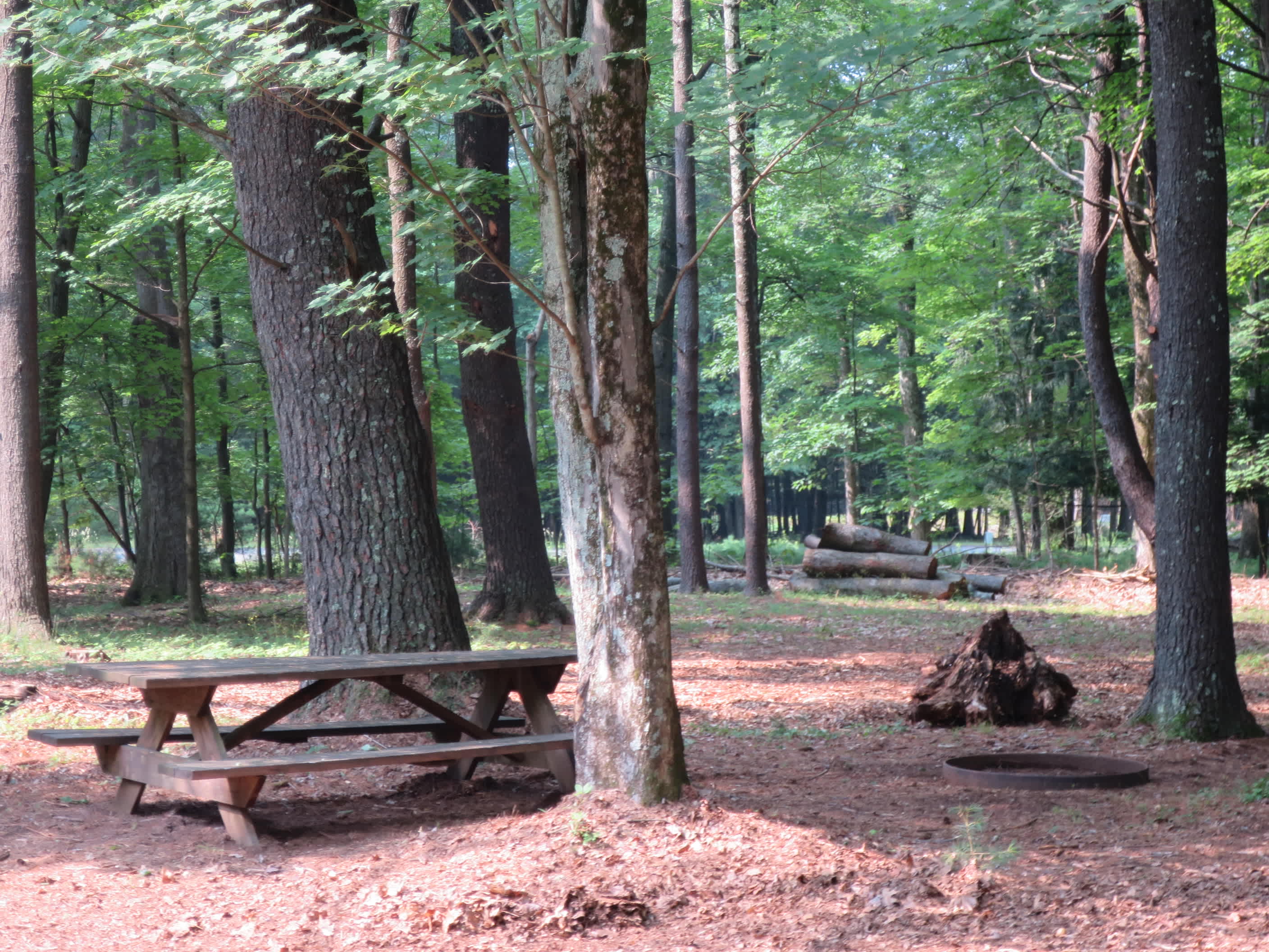 The Campground At Oak Lodge