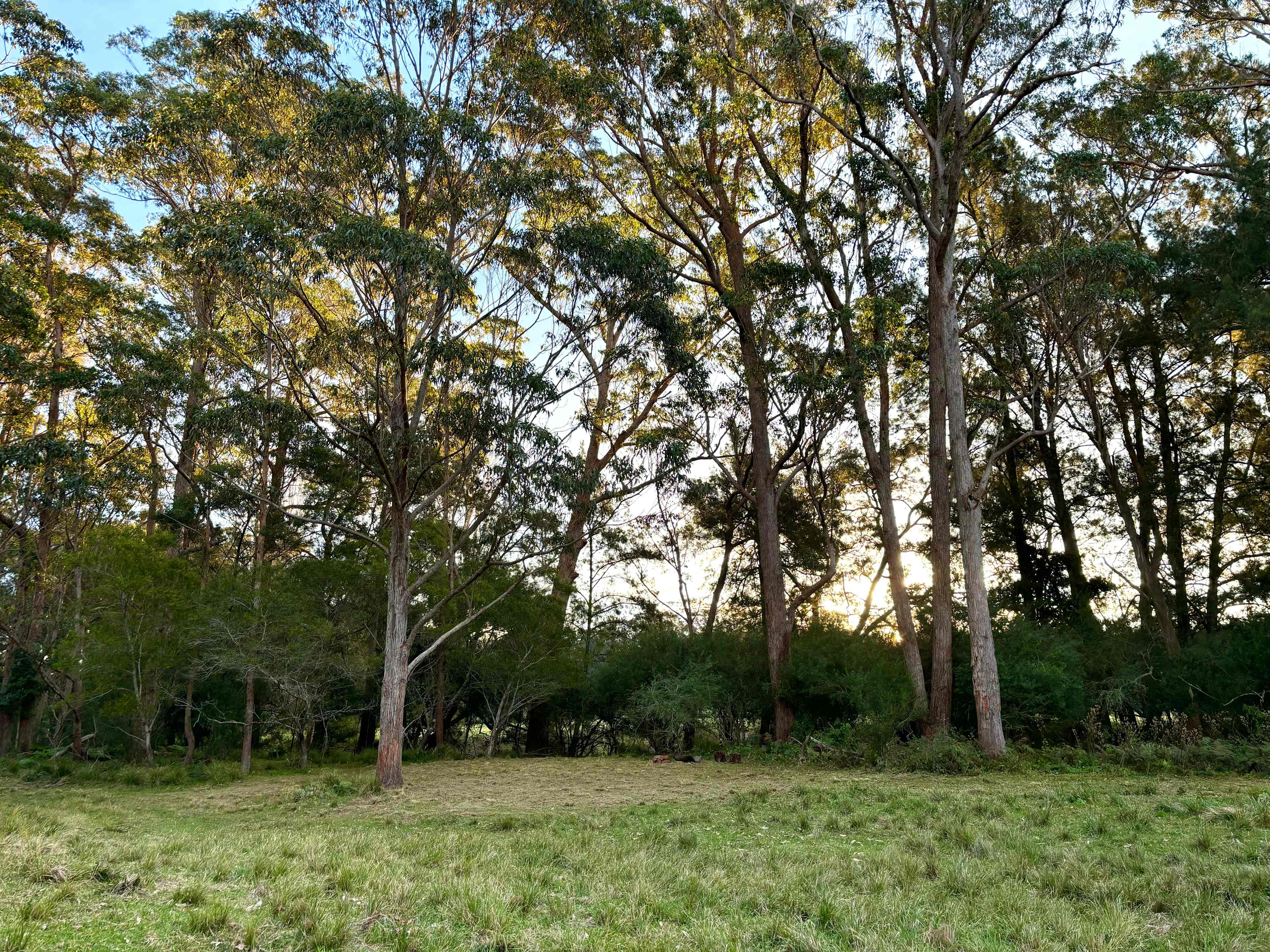 Bottom Paddock