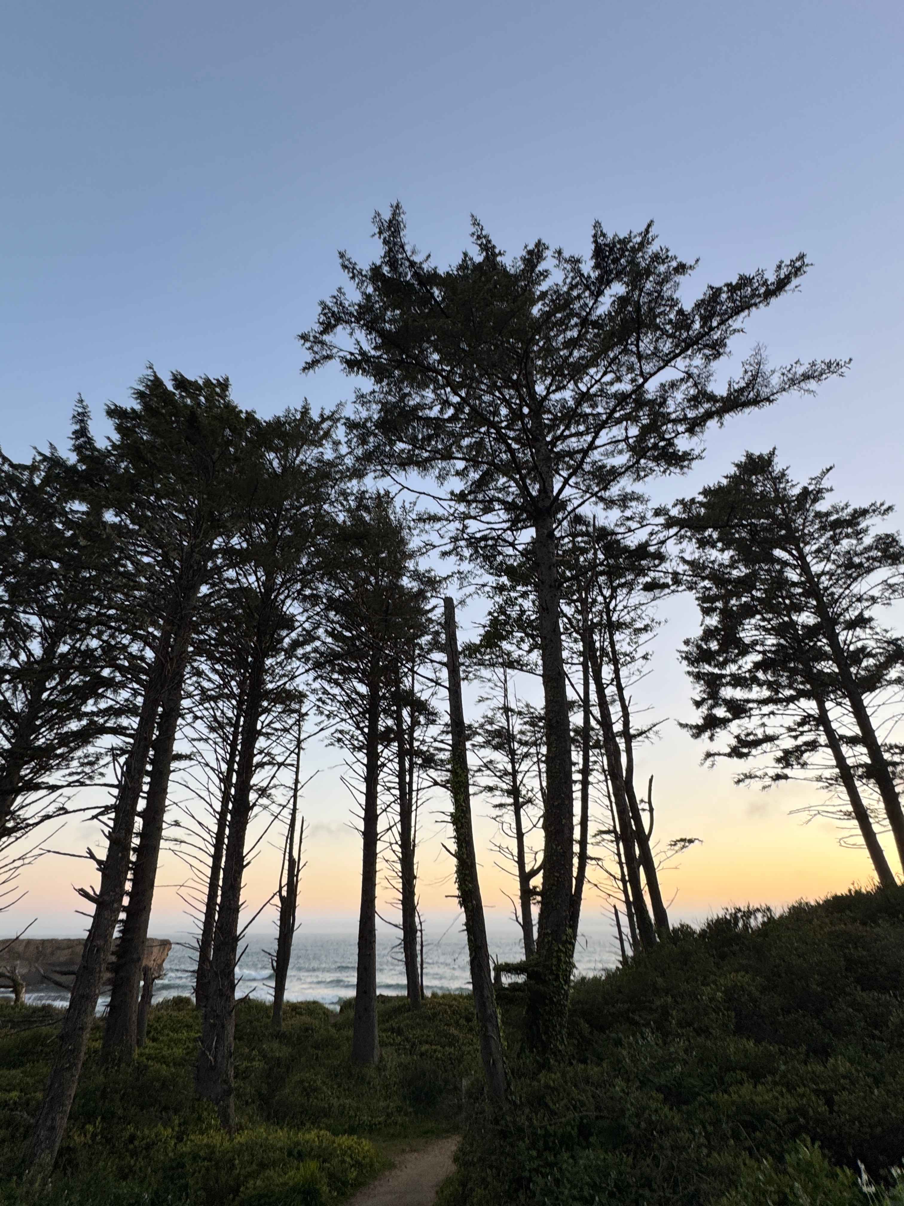 Dope Creek Surf Camp (Otter Rock)