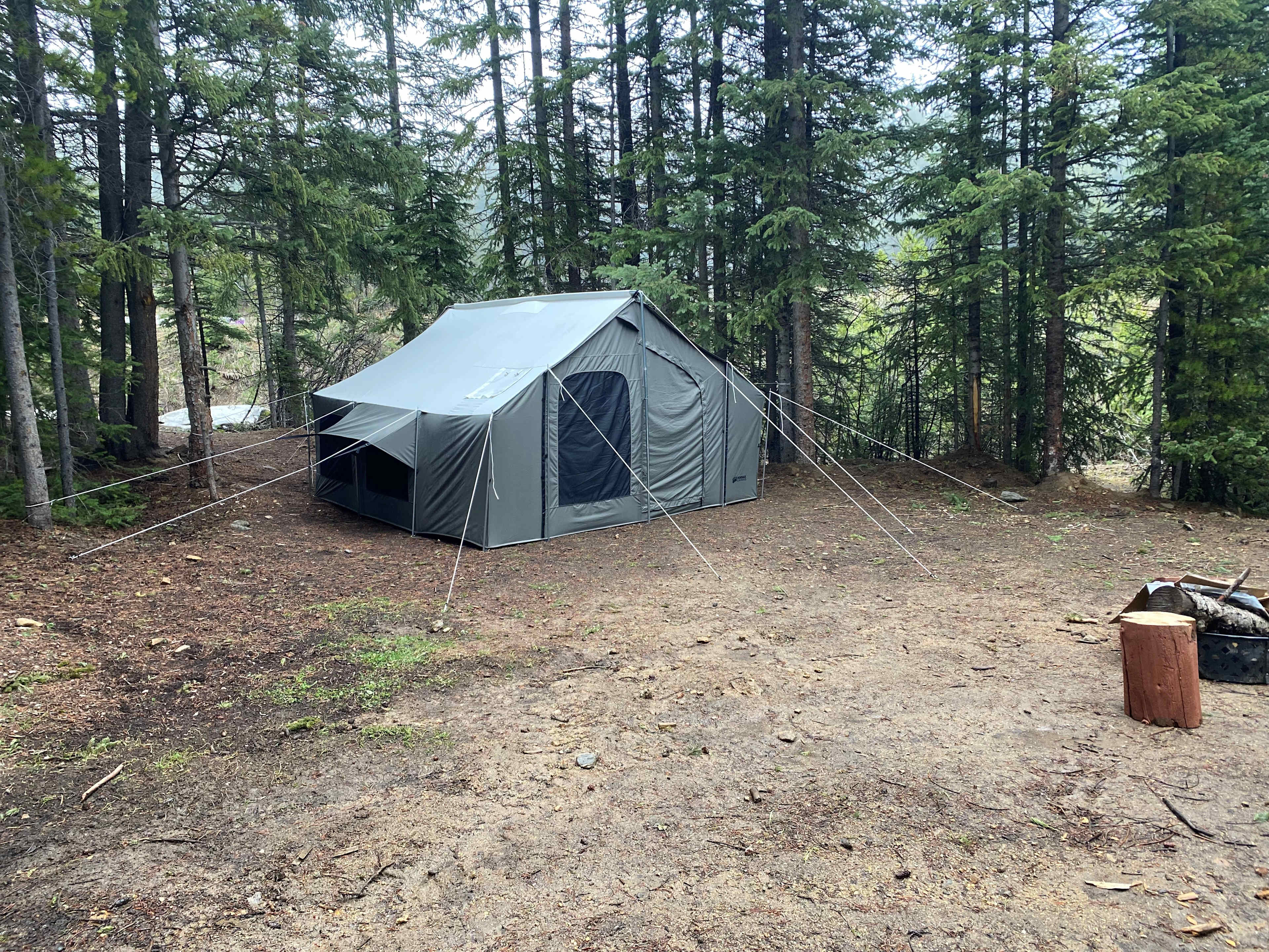 Picture of the site