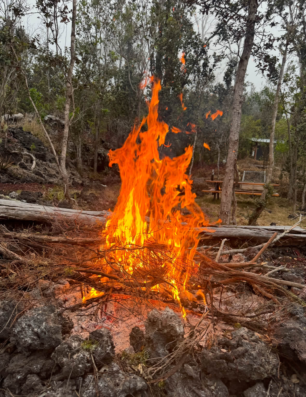 Fire pit. Fire wood provided. 