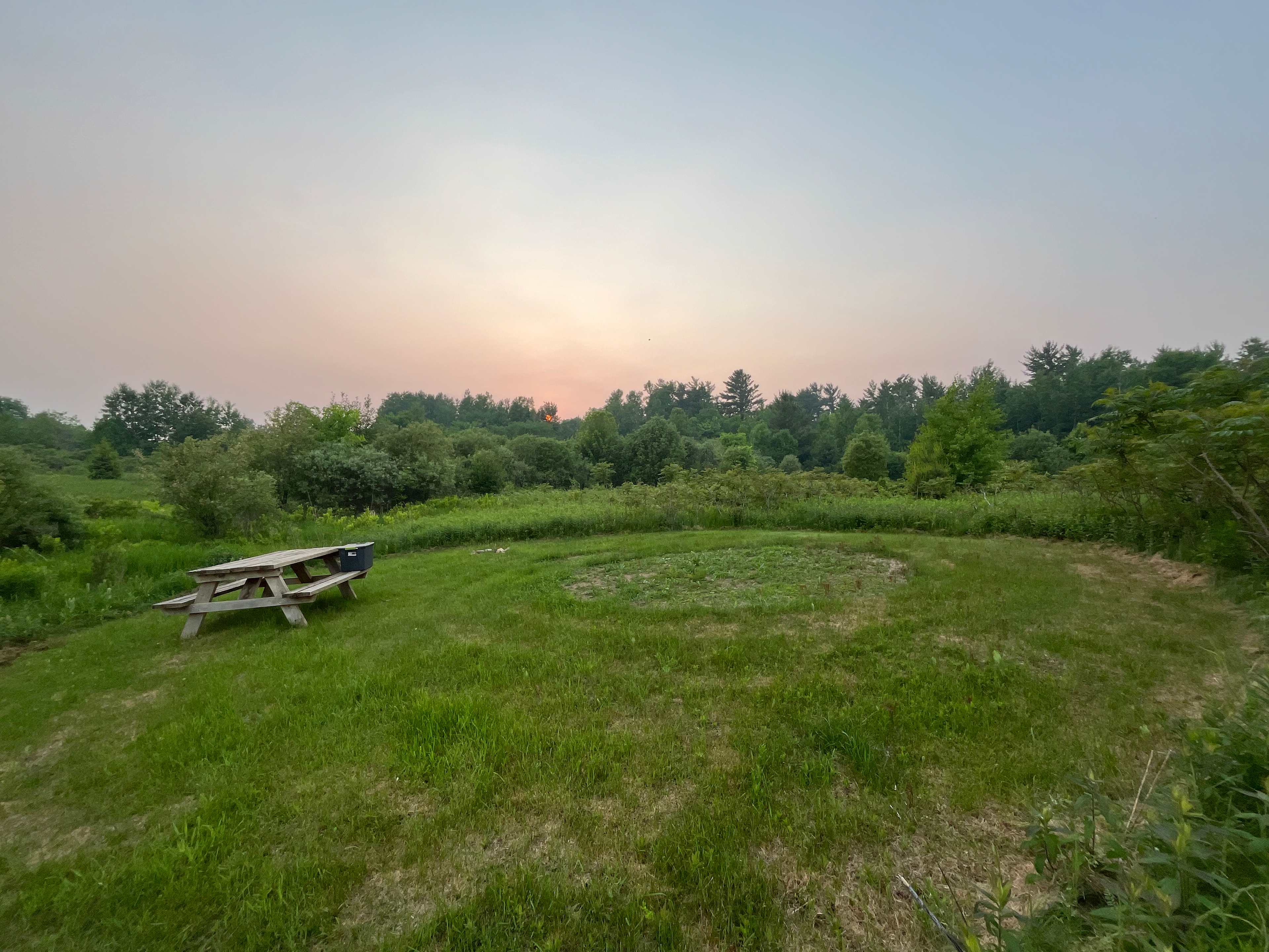 Picture of the site