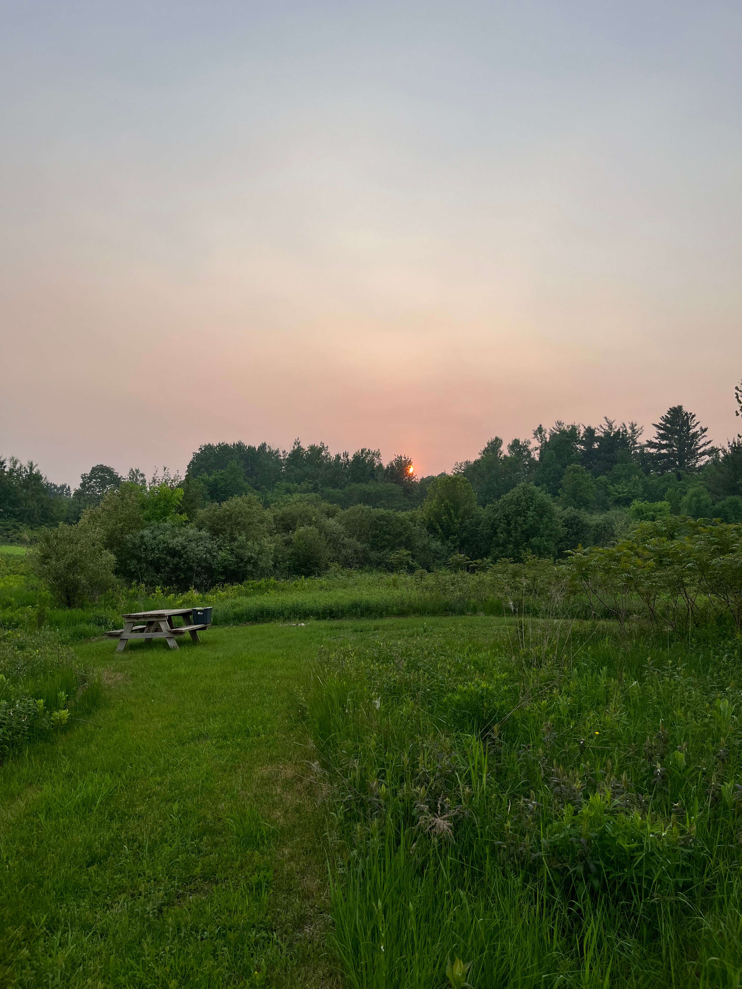 Picture of the site
