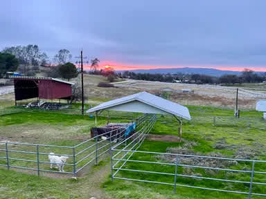 Robinhood Ranch; Holistic Camping
