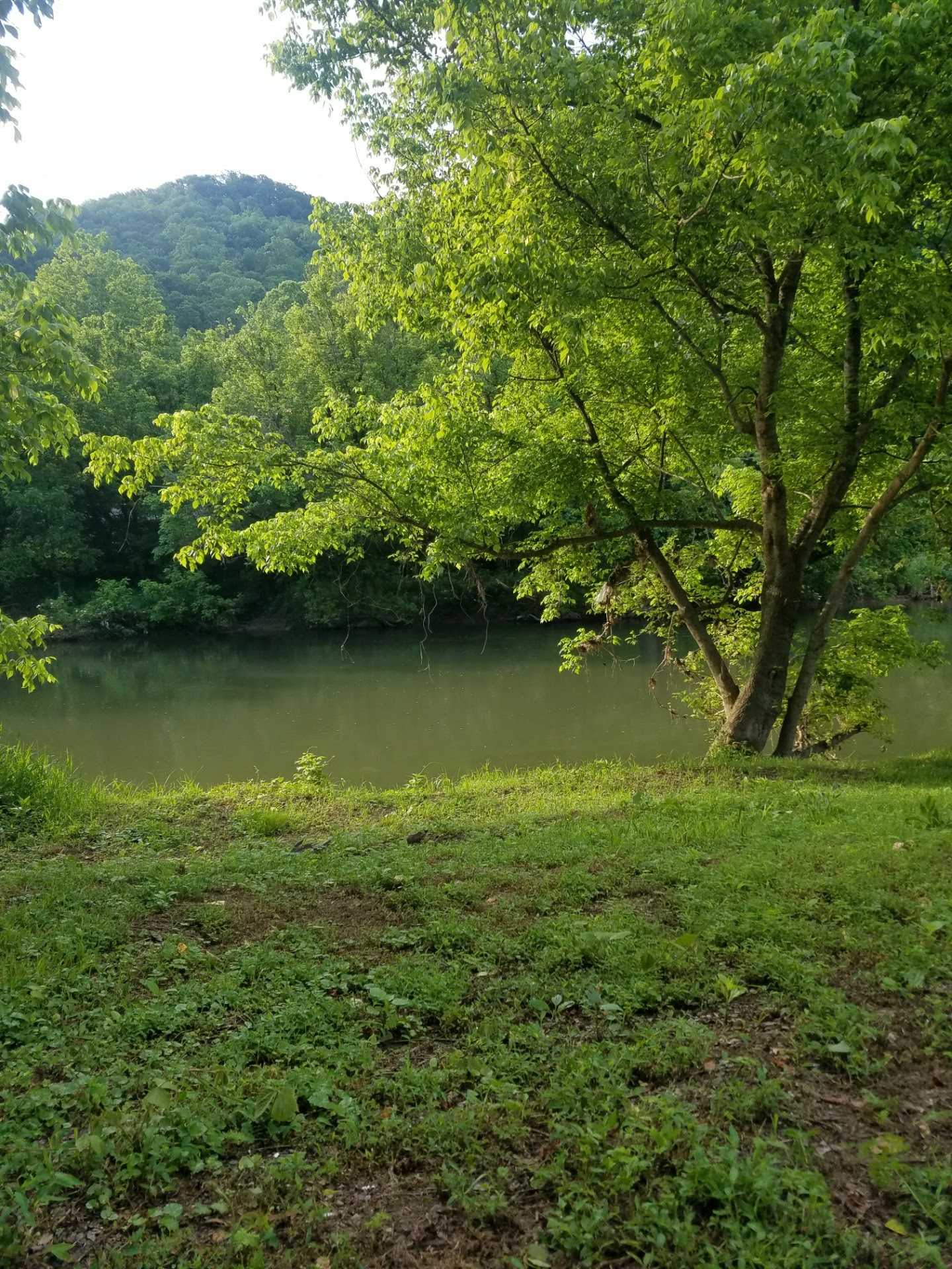 View of river from site during summer