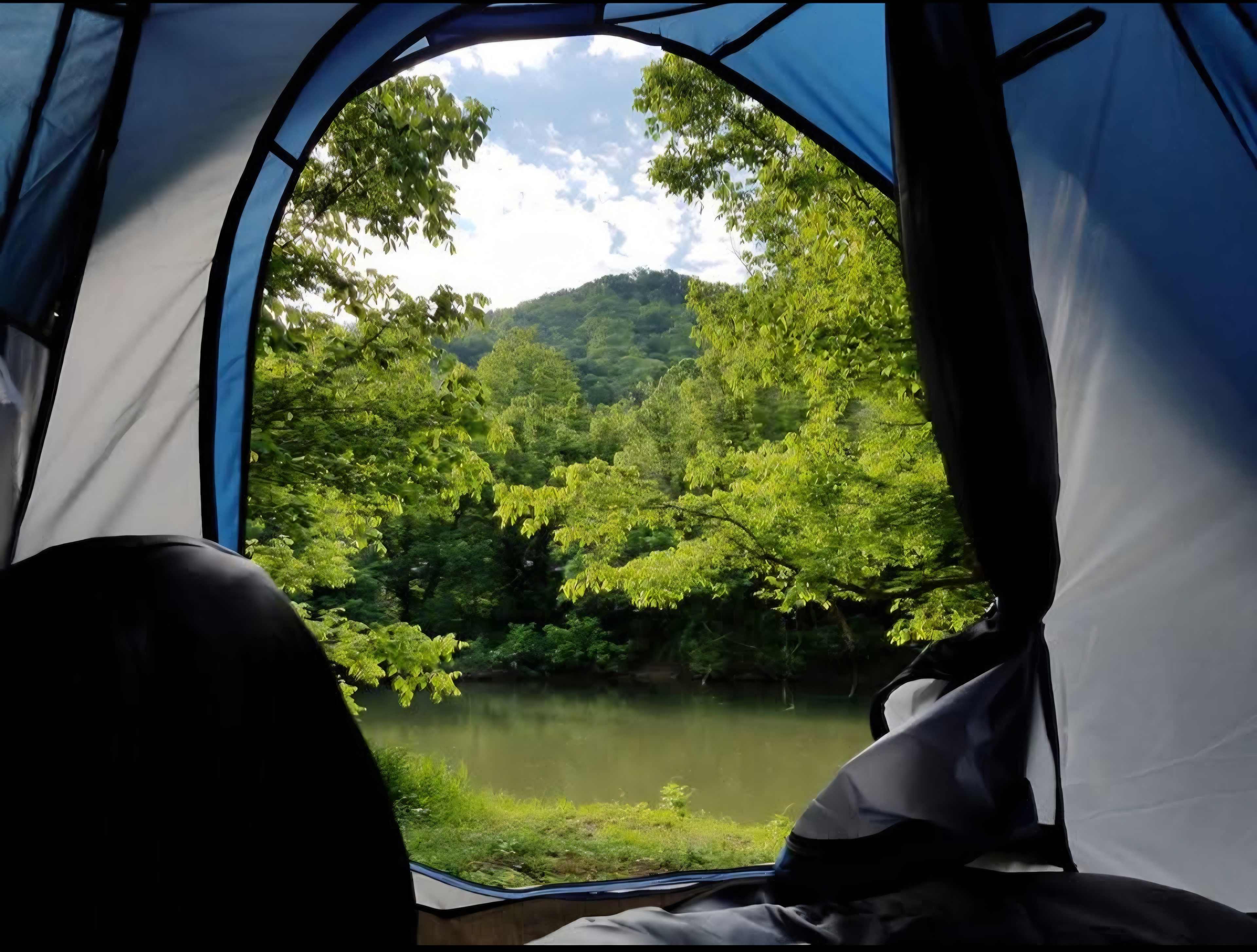 View from tent