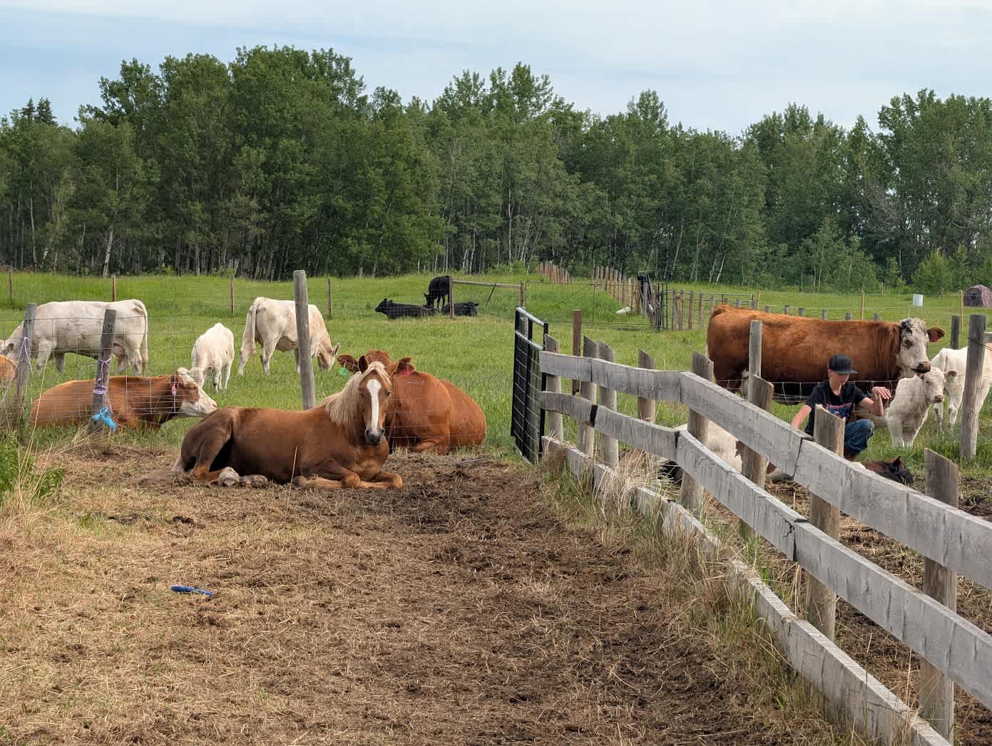 Cloutier Ranch