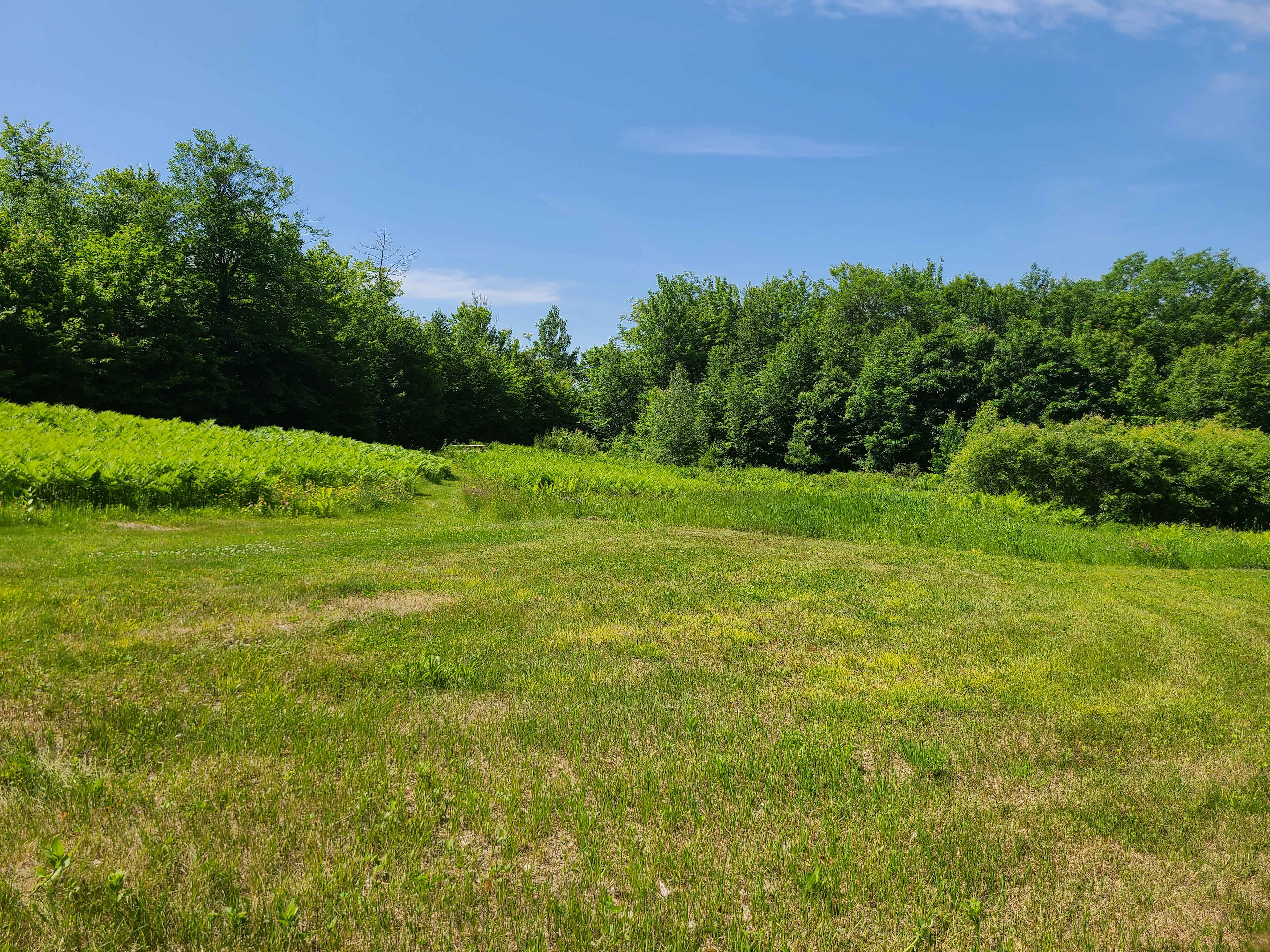The Western View at Butters Hill