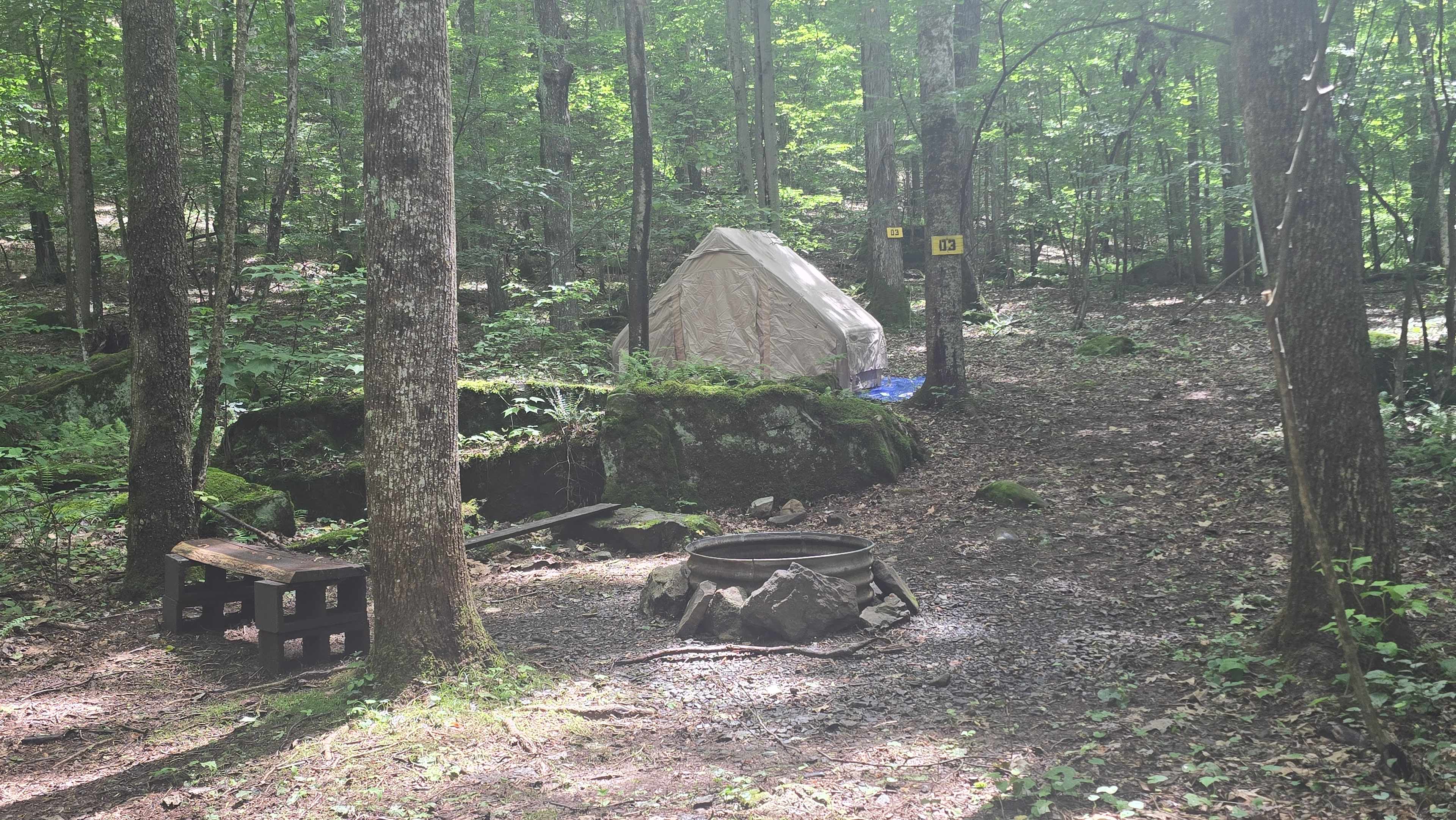 Picture of the site