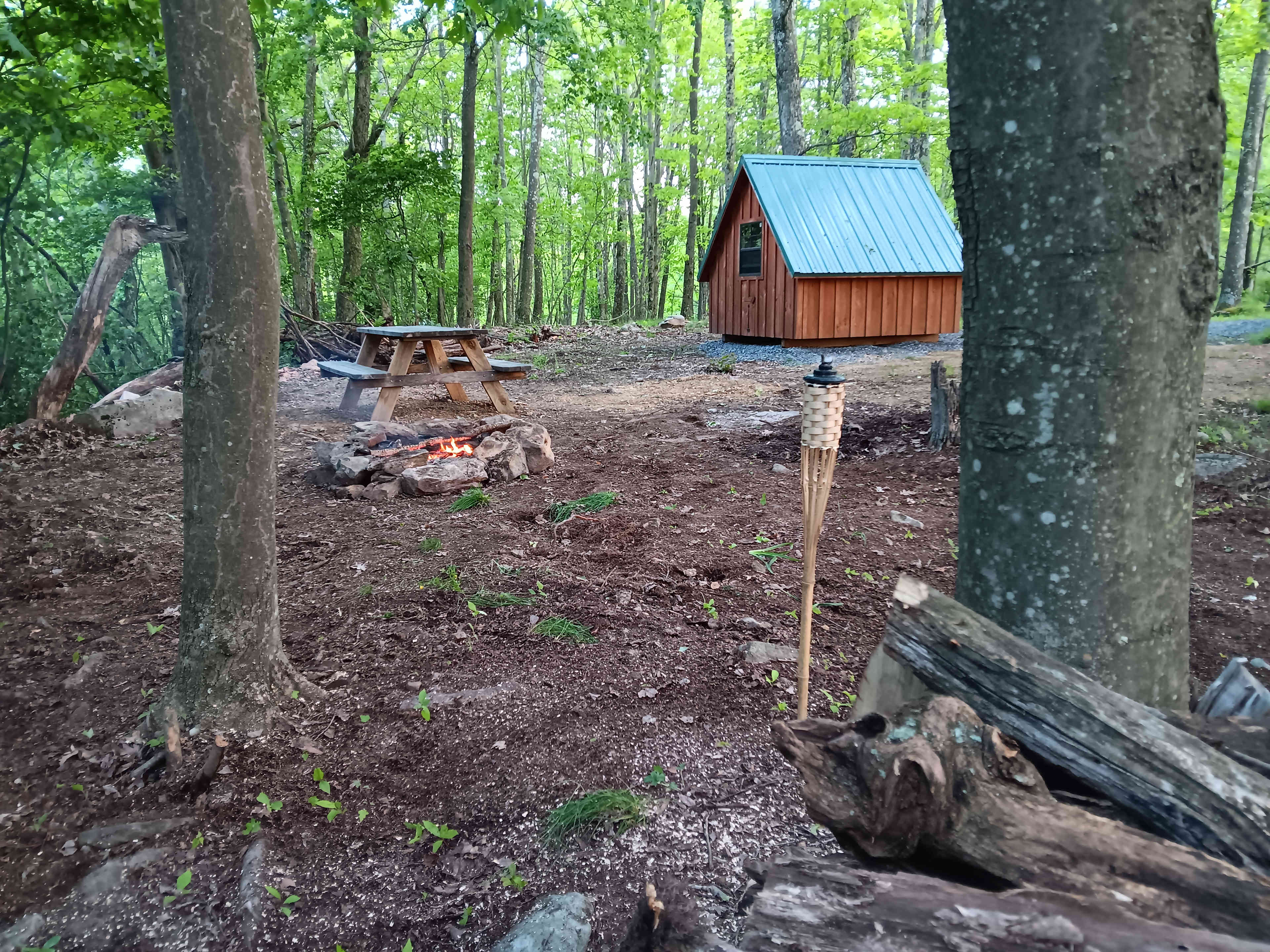 Picture of the site