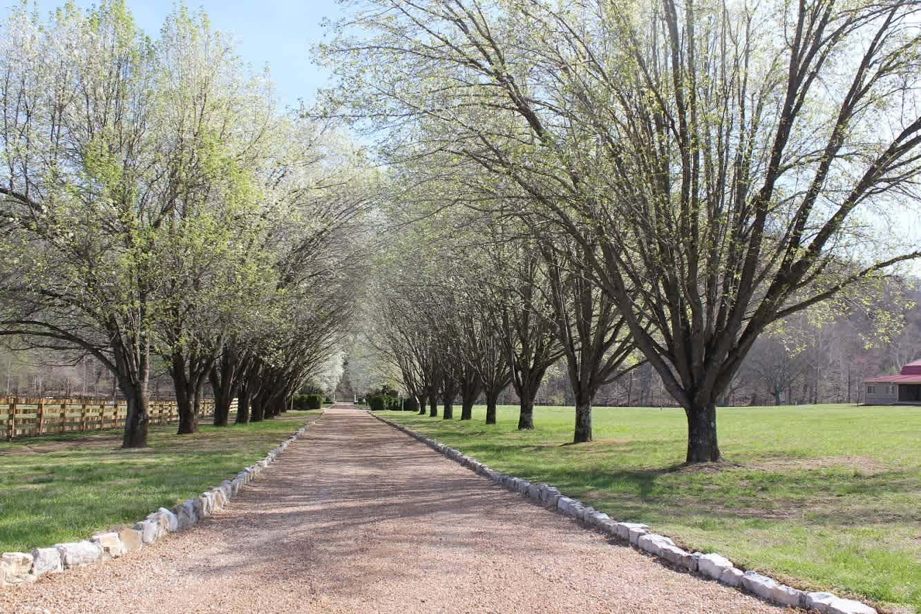 Baker Hollow Farm in Nashville