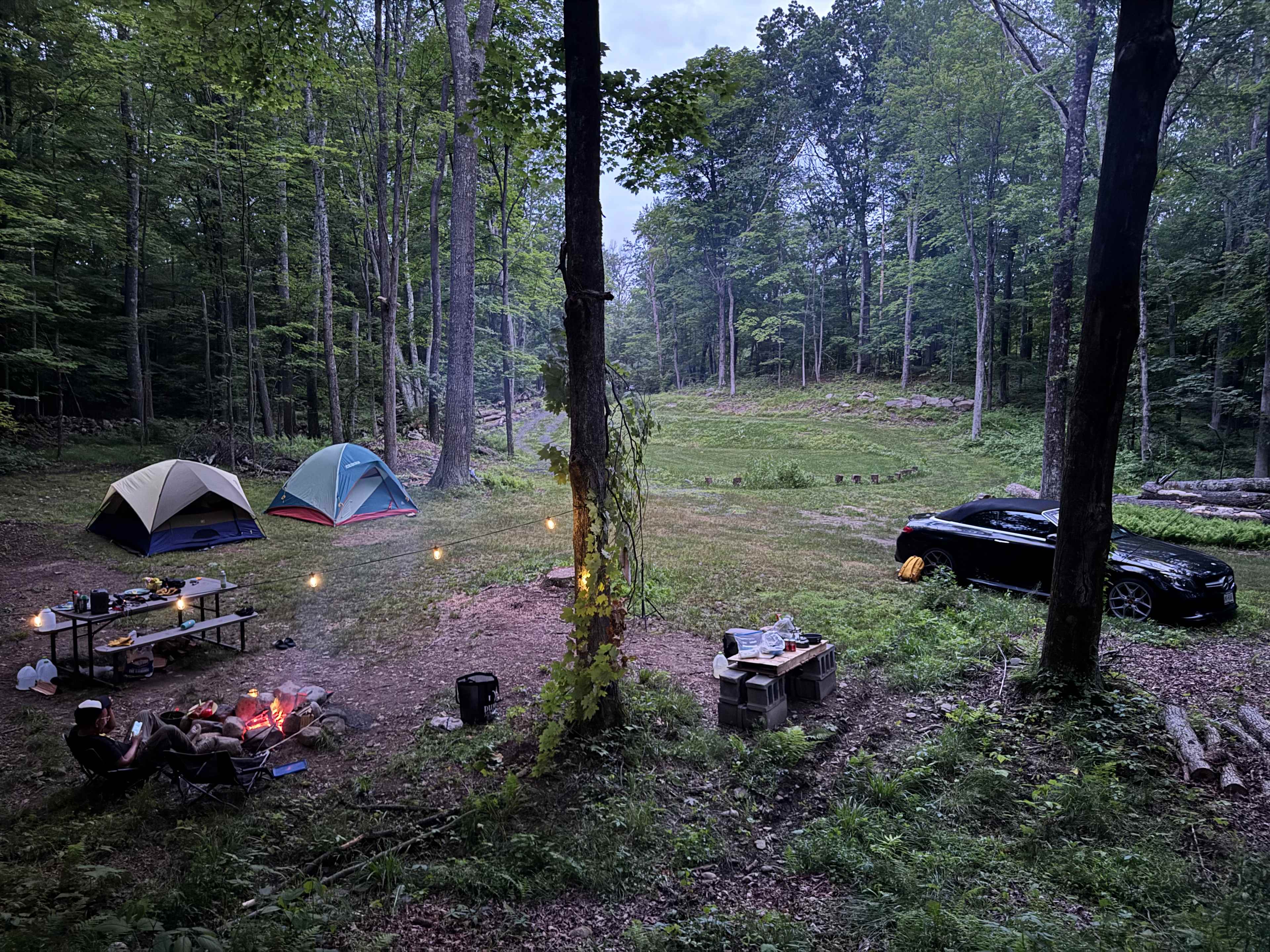 Picture of the site
