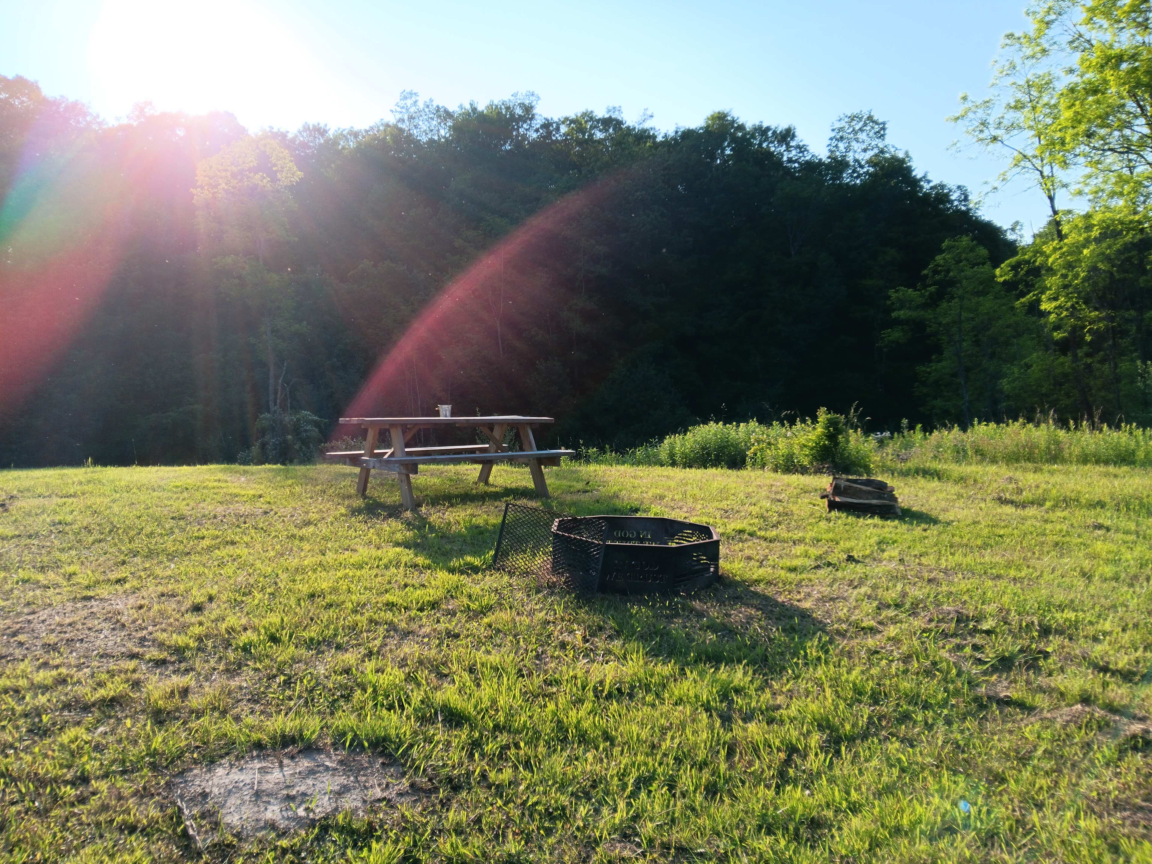 Picture of the site