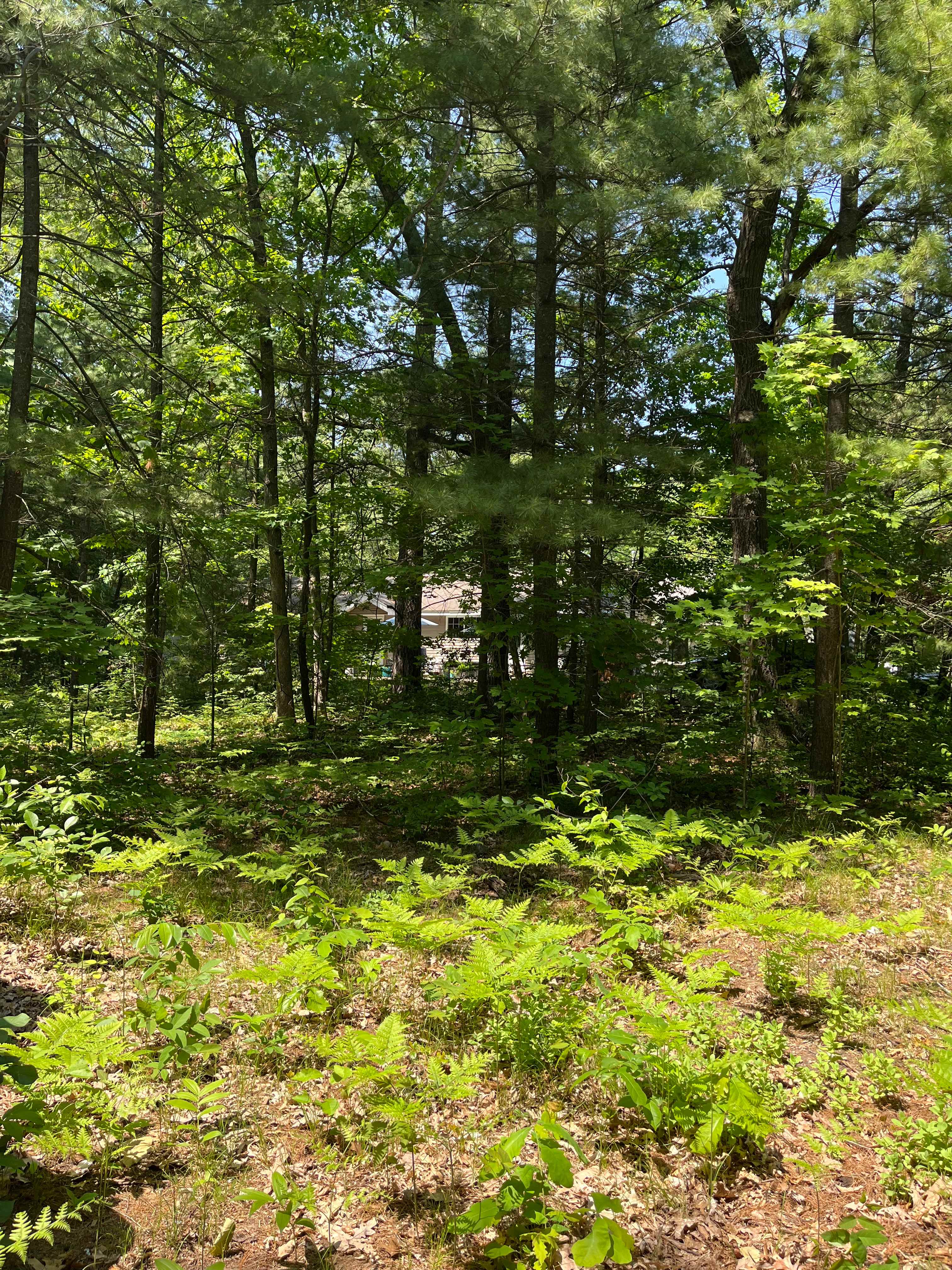 Fort Hastings Retreat