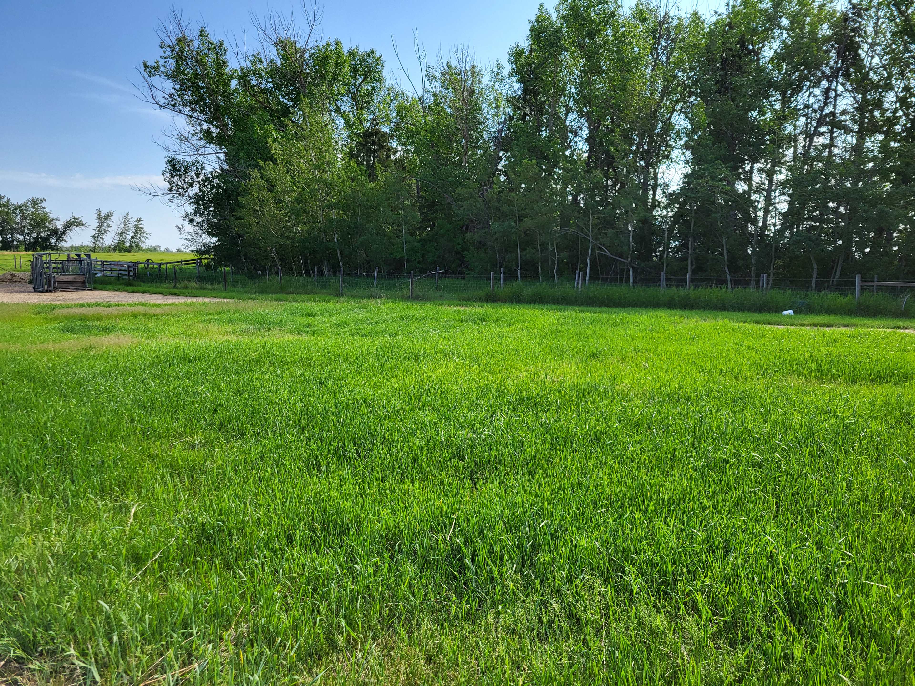 Cloutier Ranch