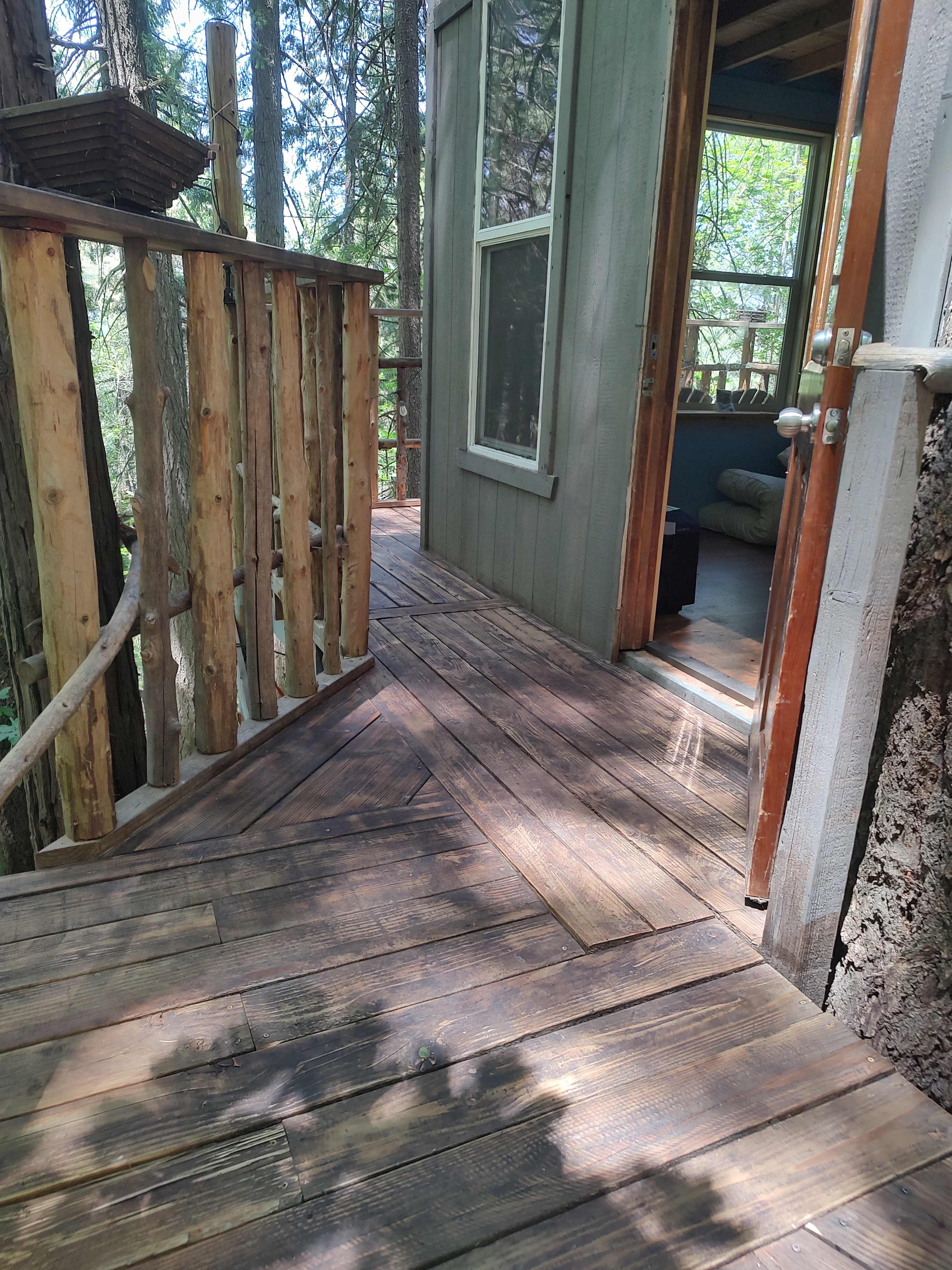 Tree house forest retreat.