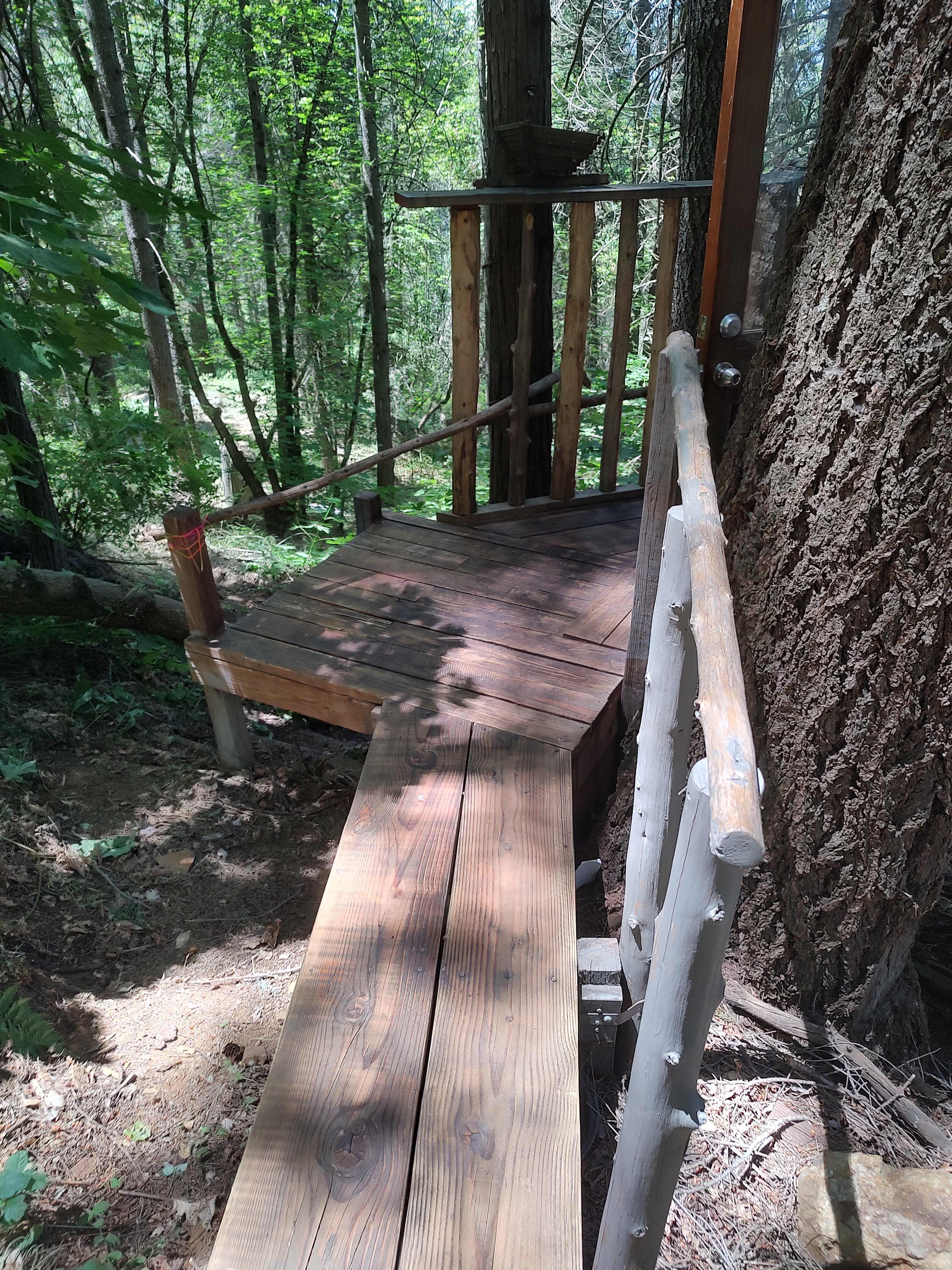 Tree house forest retreat.