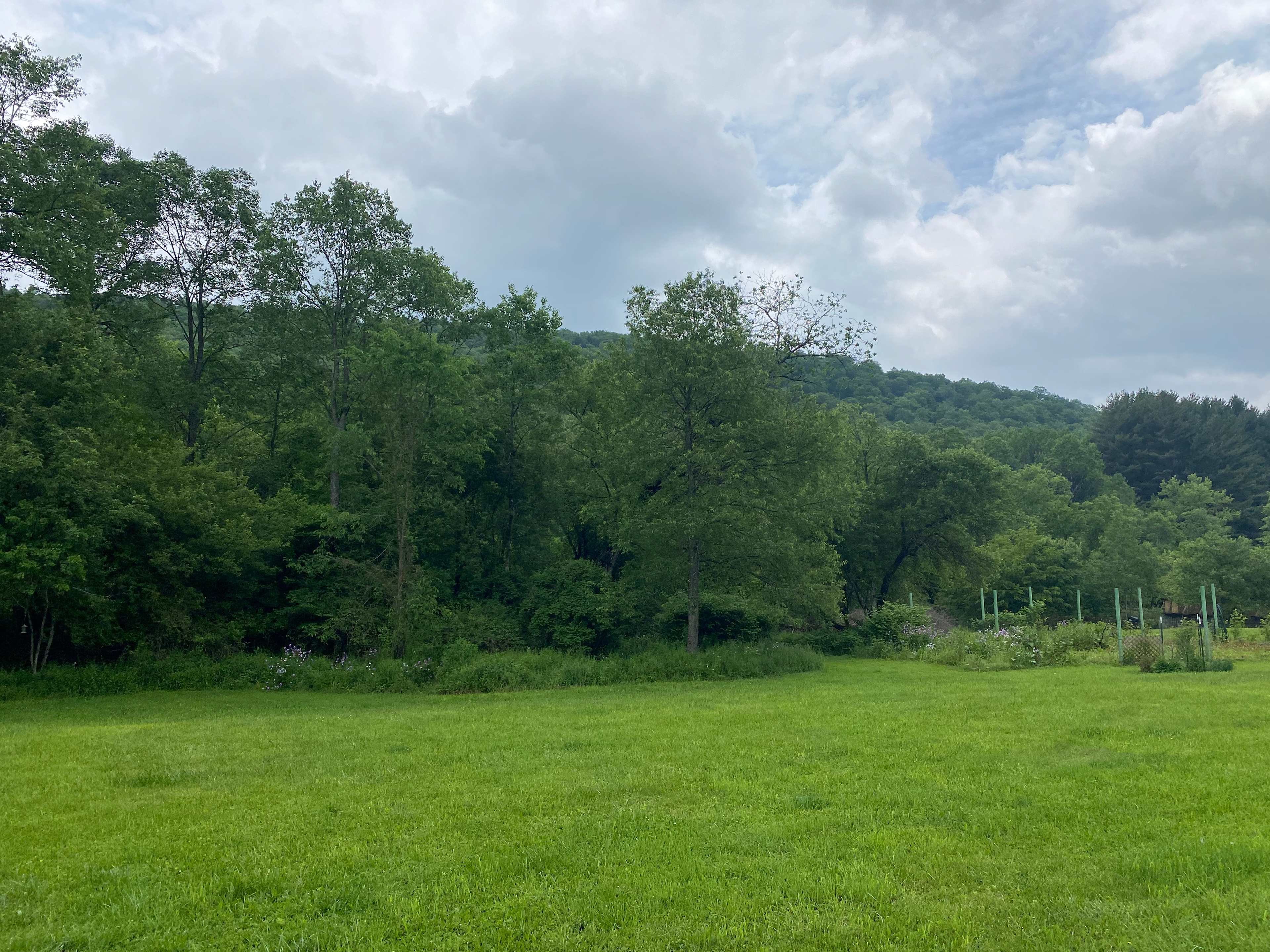 Quiet RV Site on Allegheny River