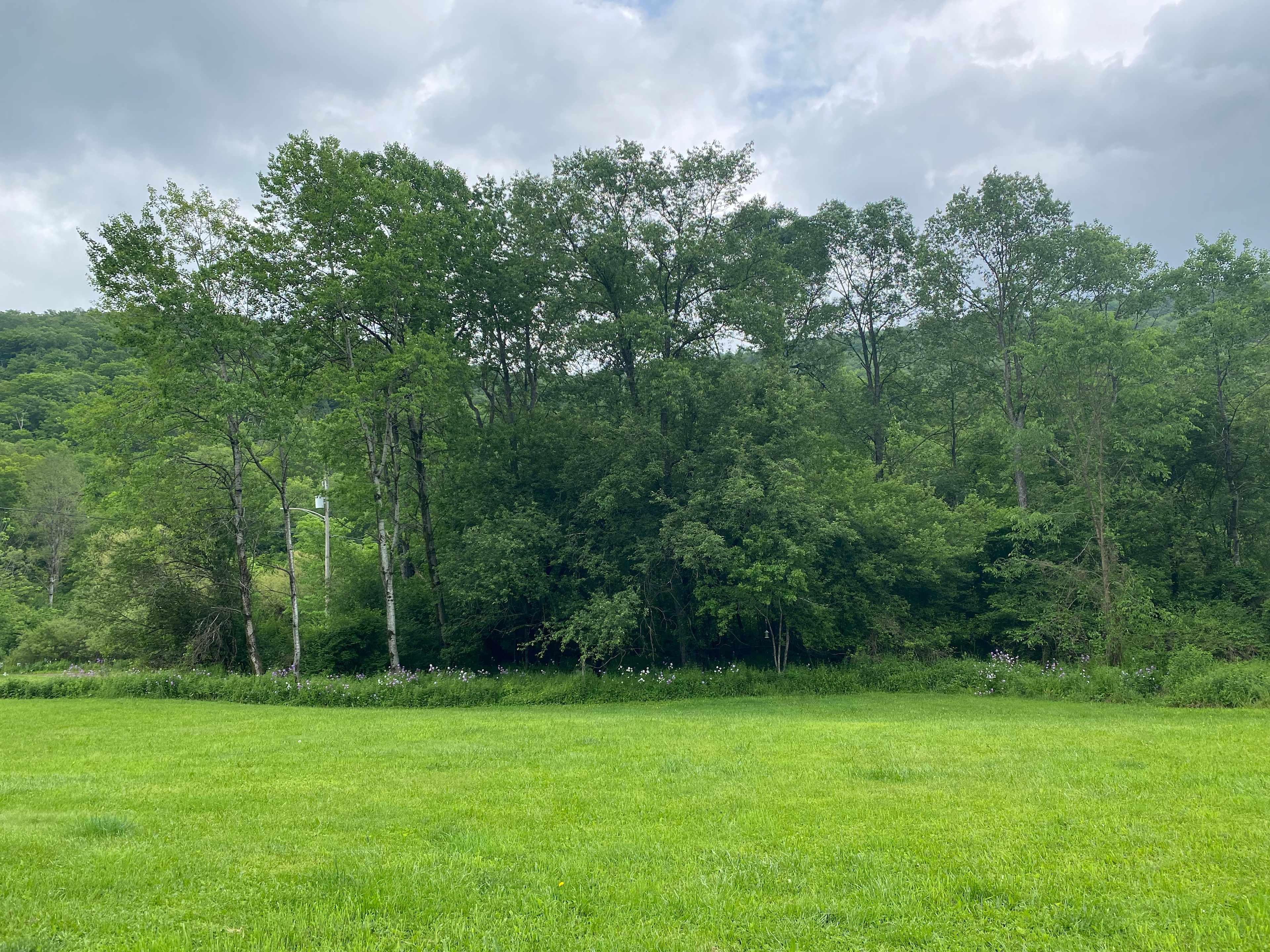 Quiet RV Site on Allegheny River