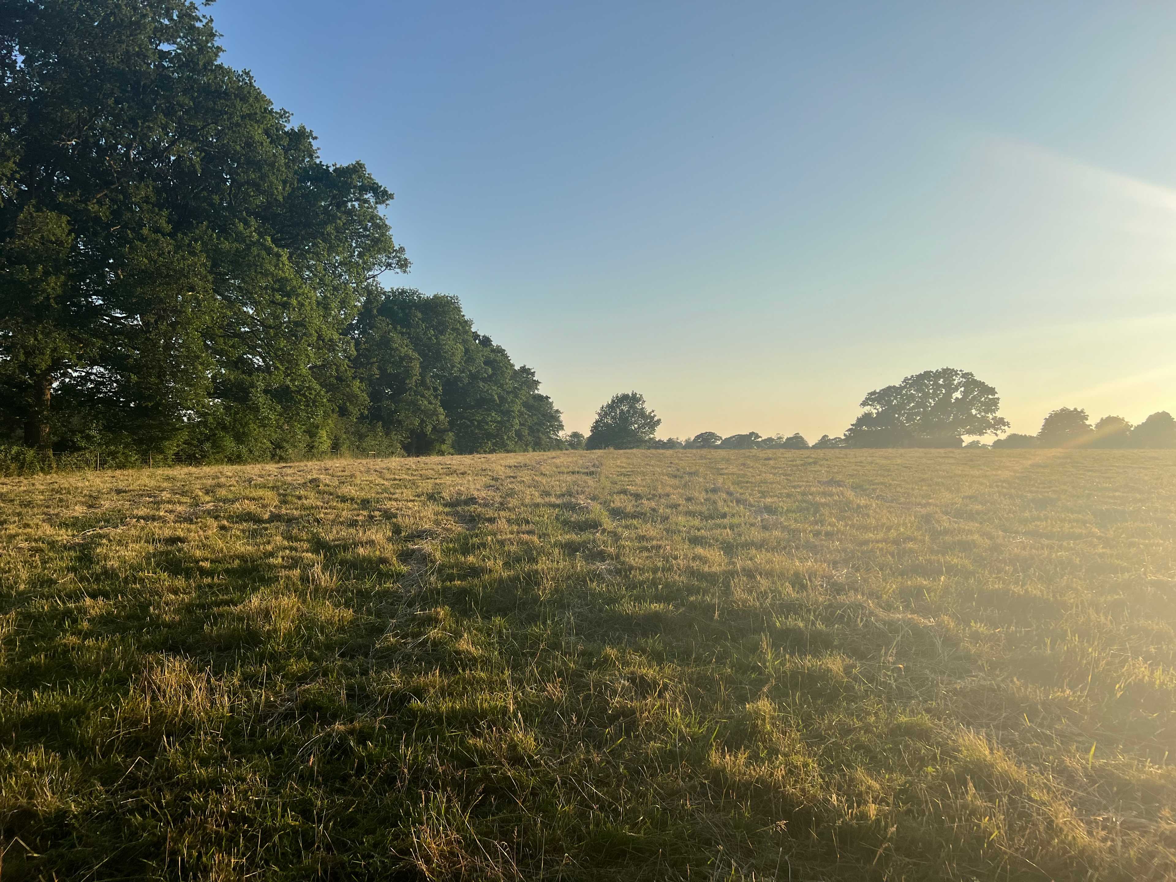 Wychwood Farm