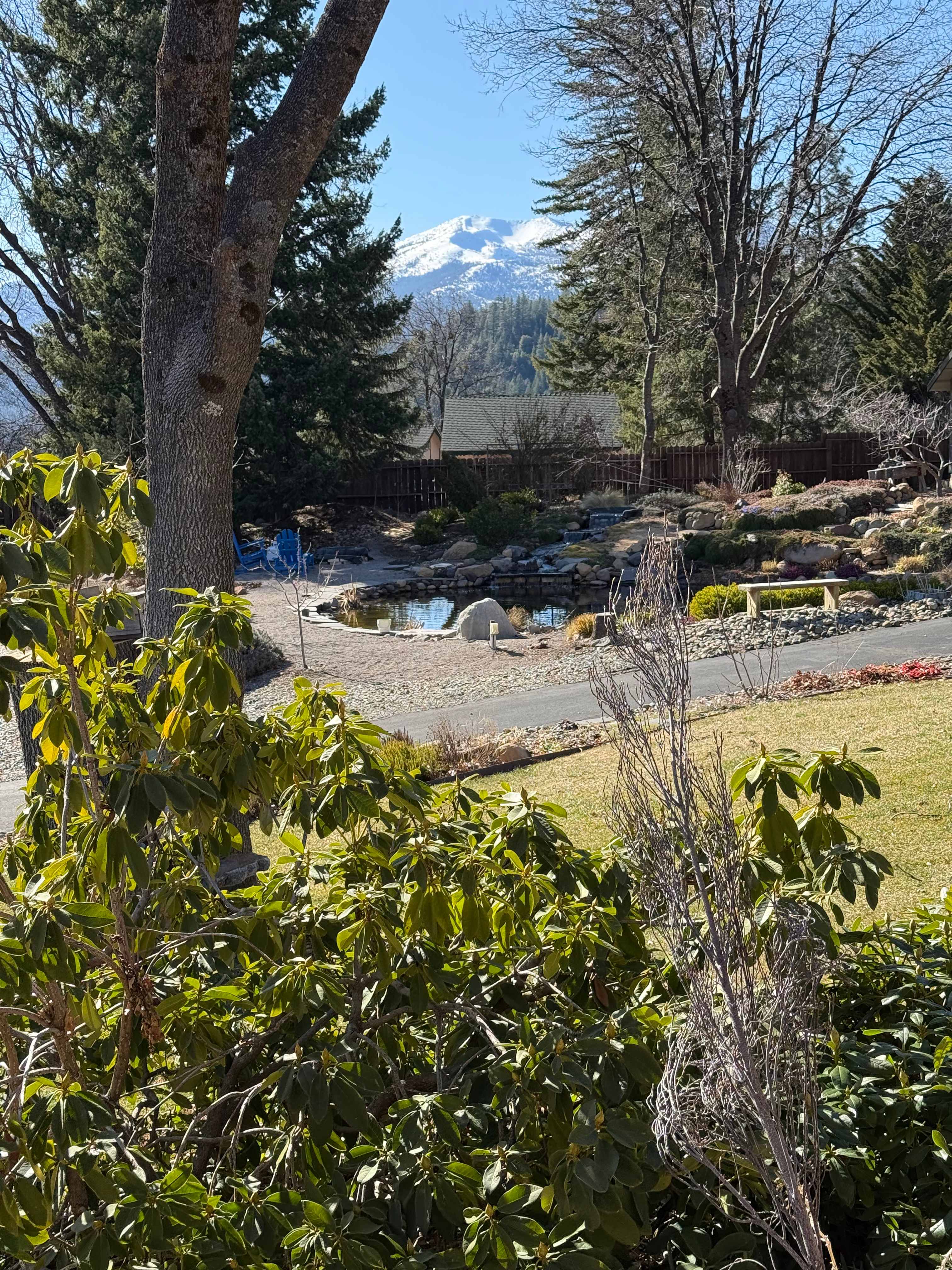 Bear Camp On Mount Shasta