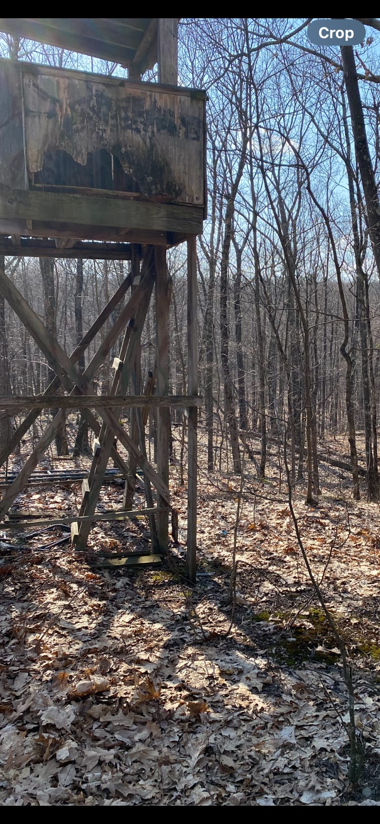Issac’s Endless Acres