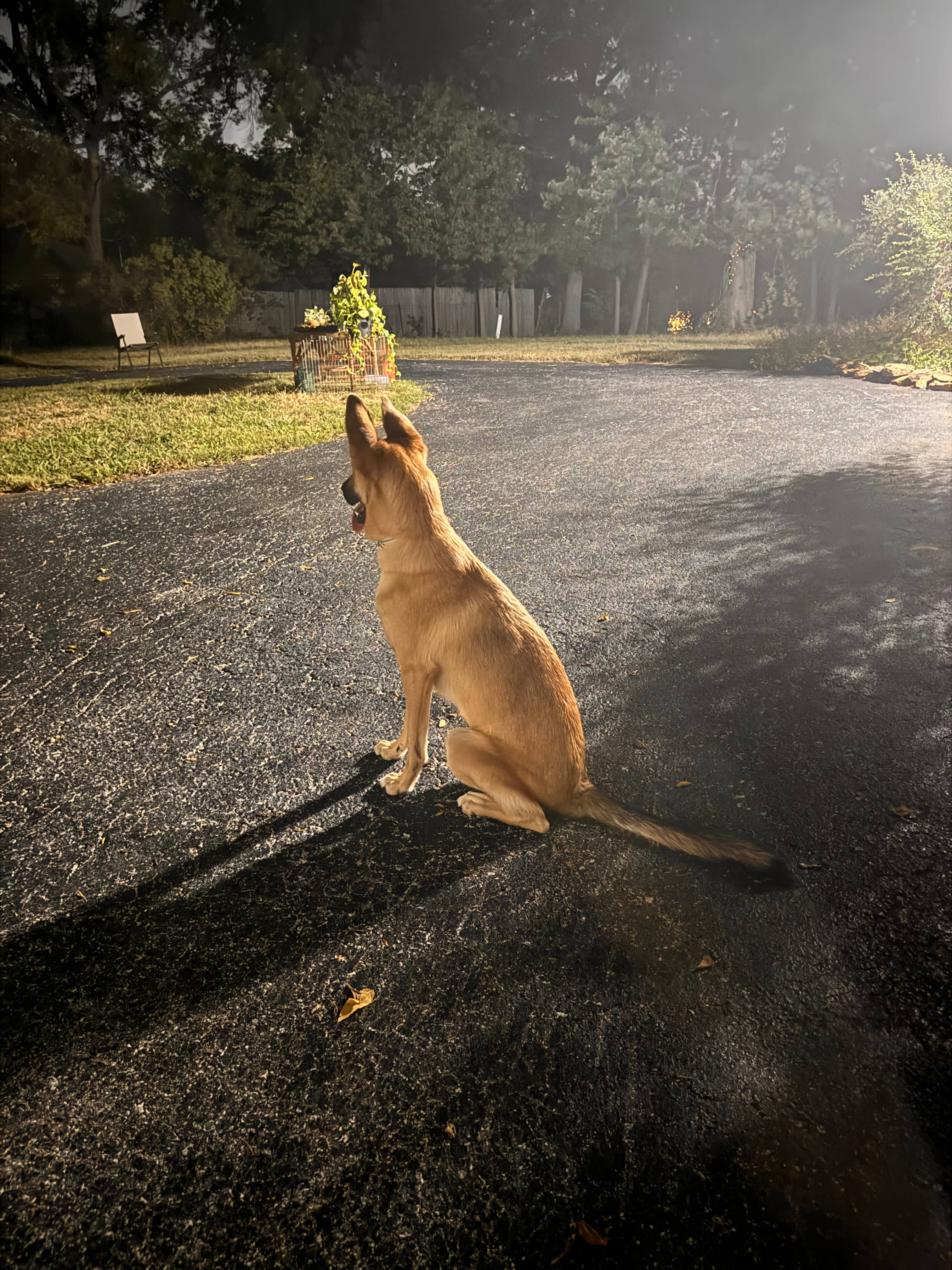 Liberated Grounds