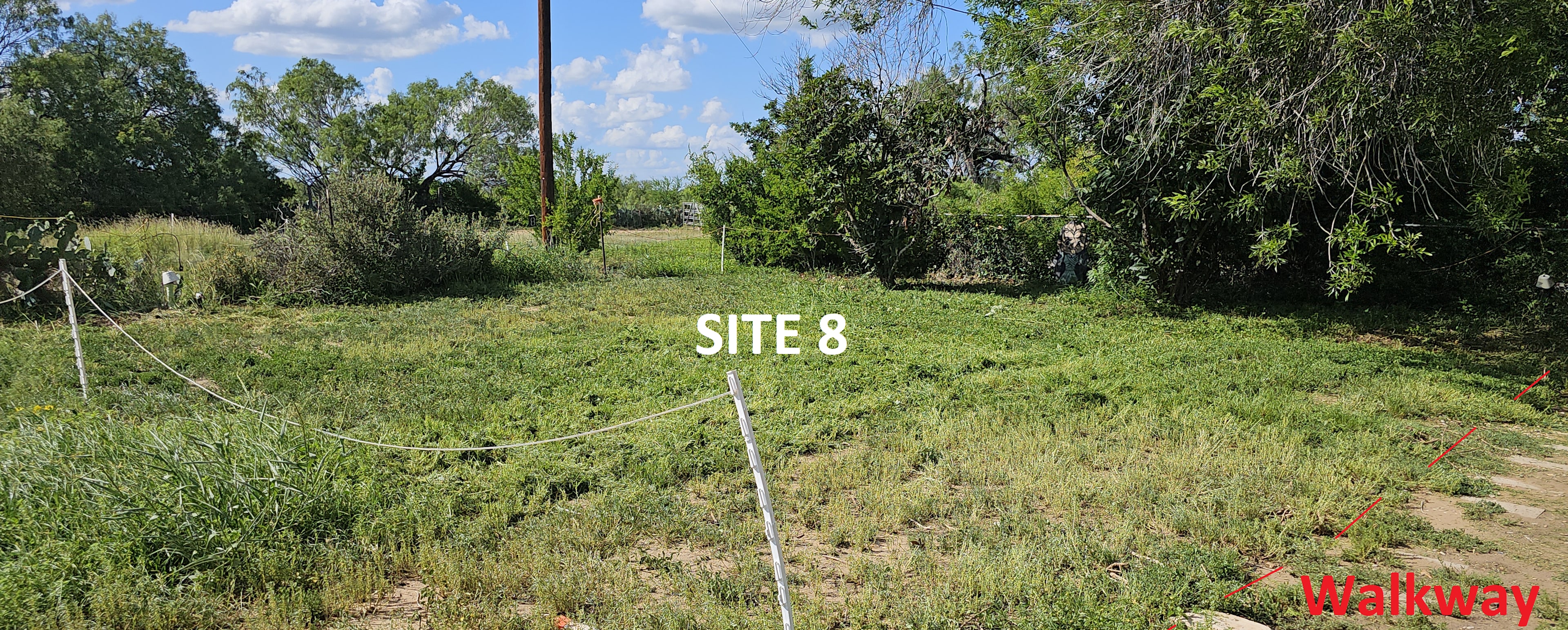 Picture of the site