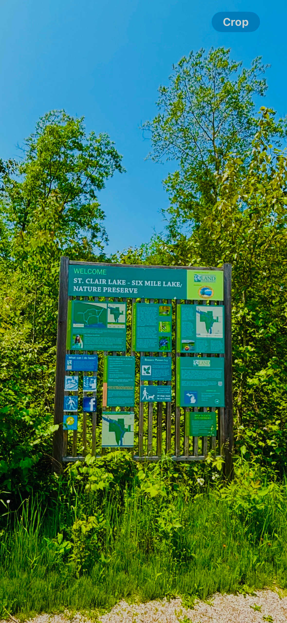 Picture of the site
