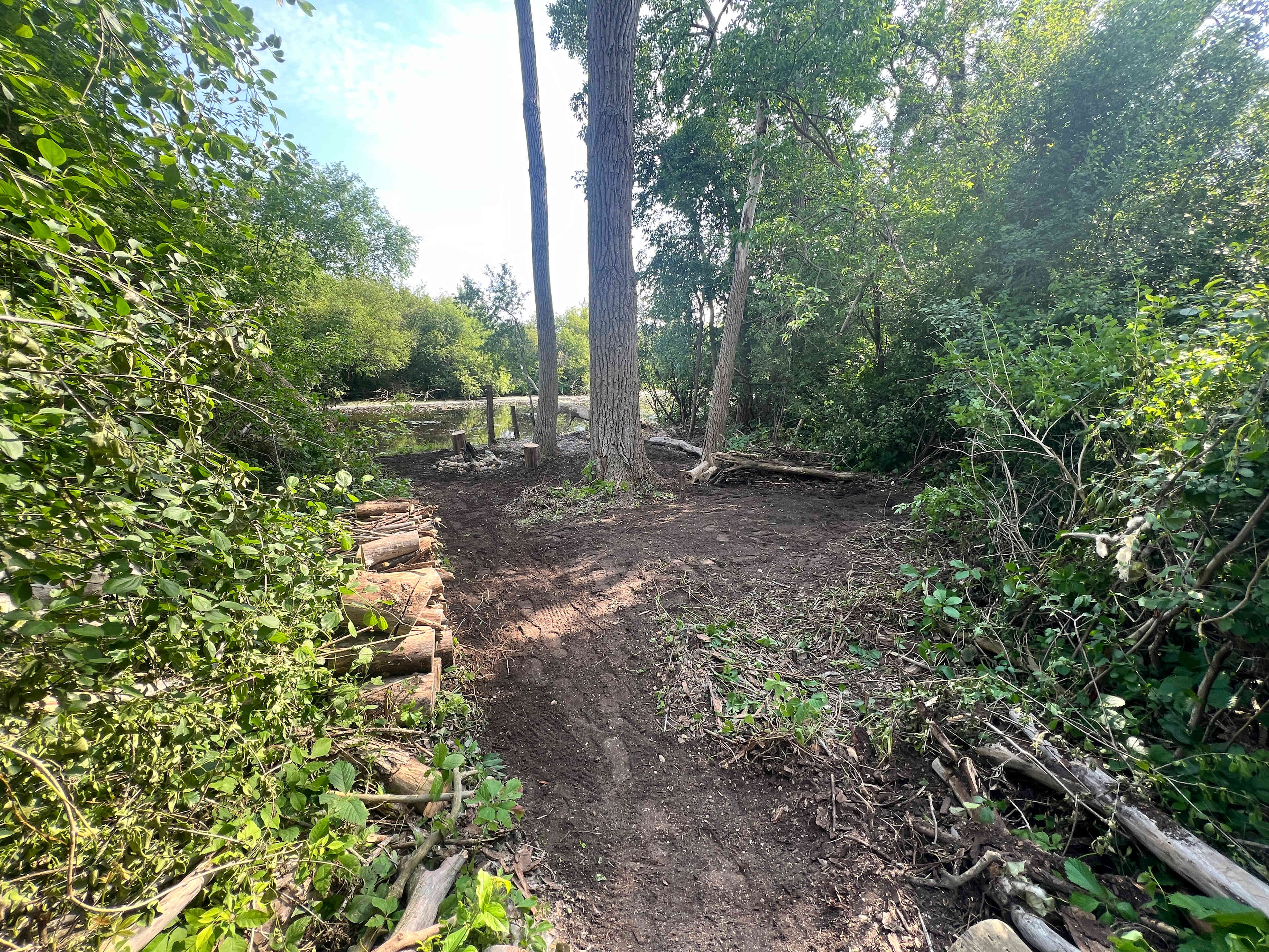 Picture of the site