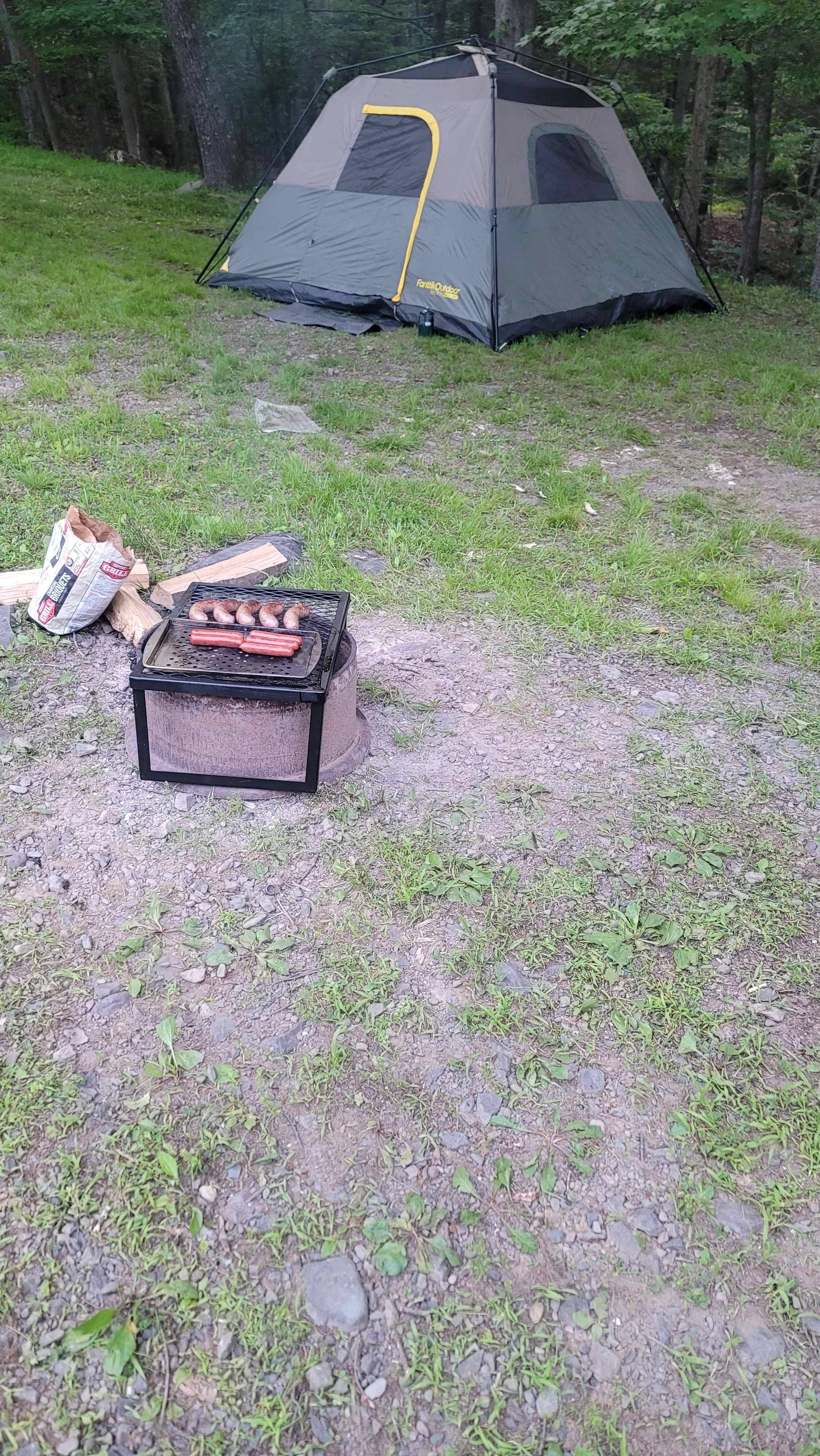 Picture of the site