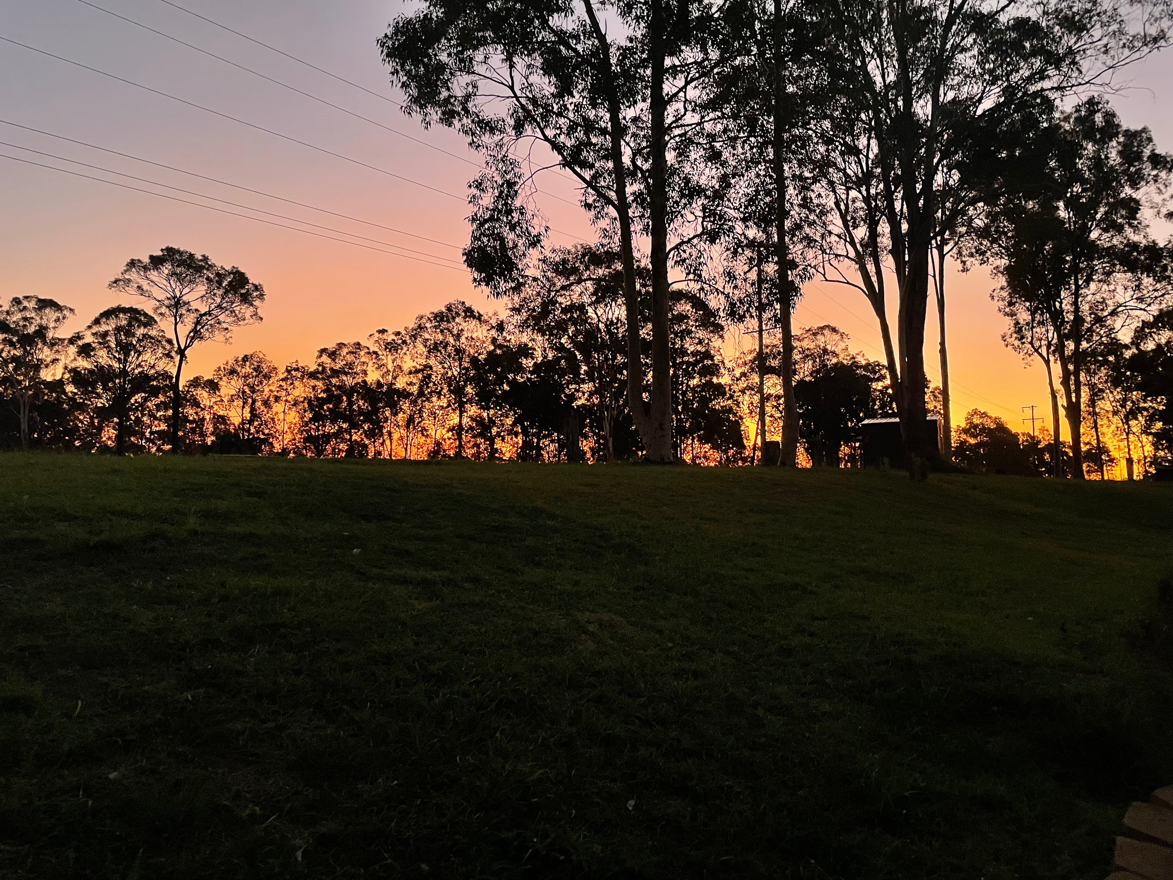 Eeyore And Snore Hunter Valley