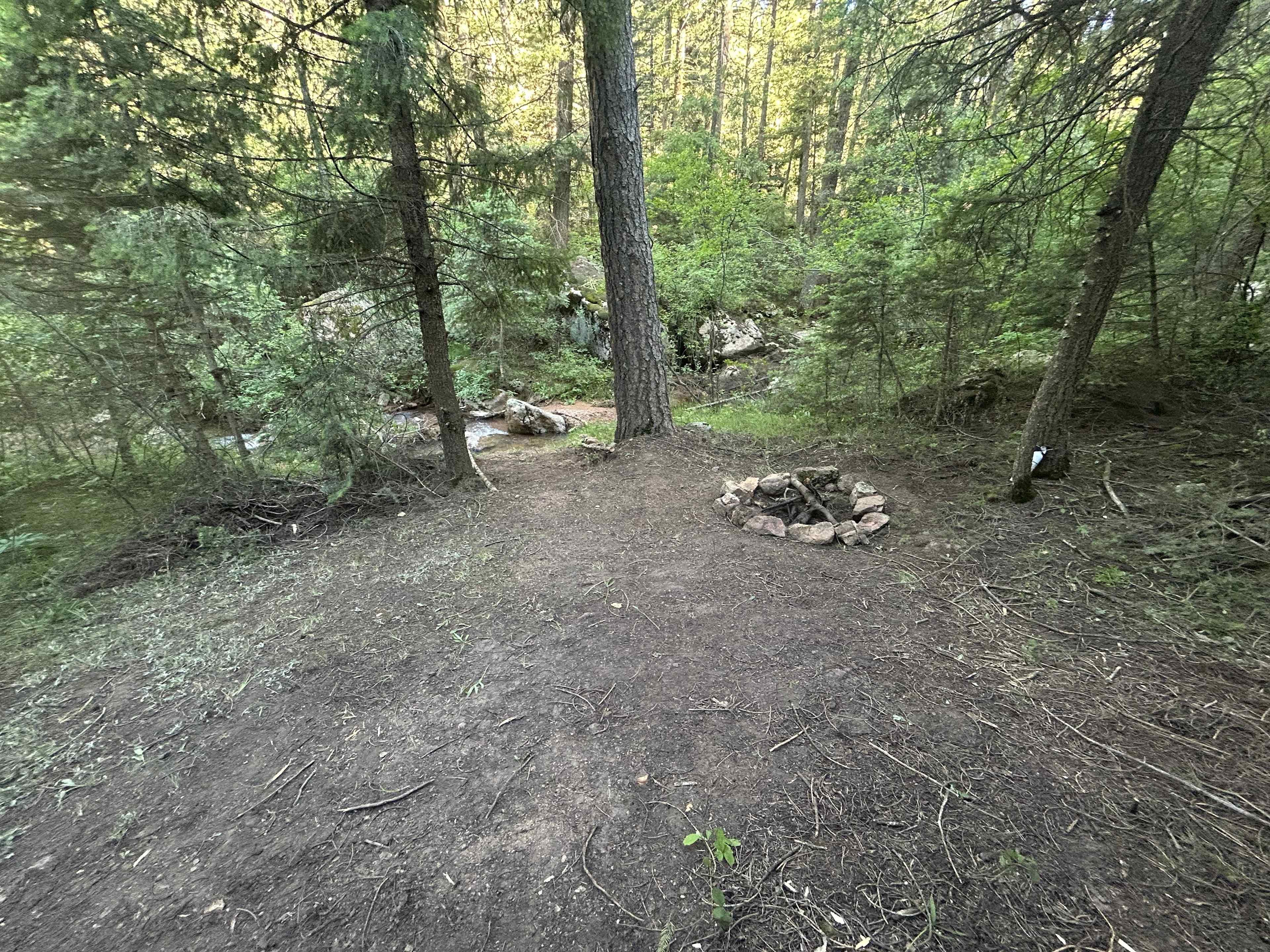 Picture of the site