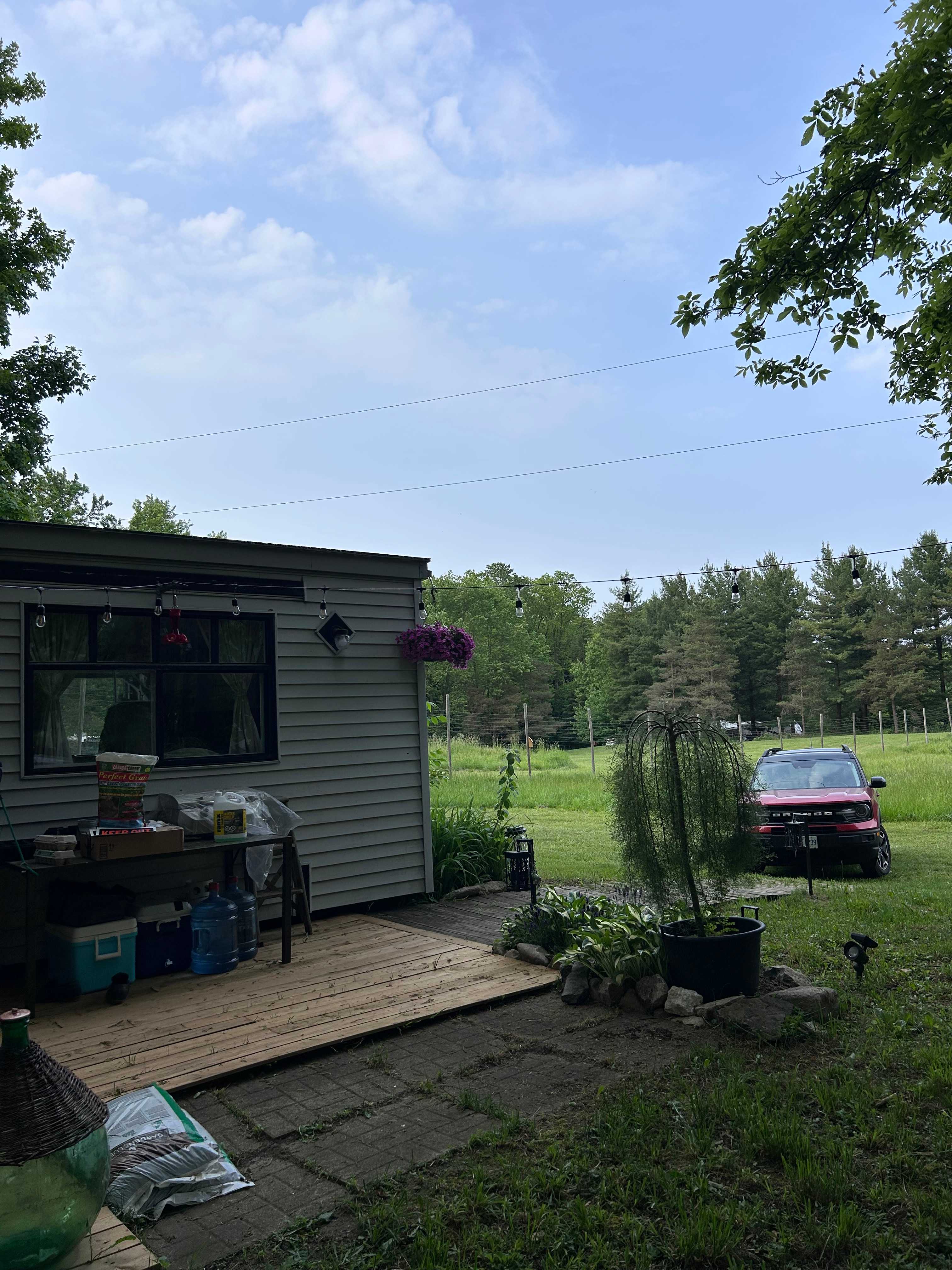 Picture of the site
