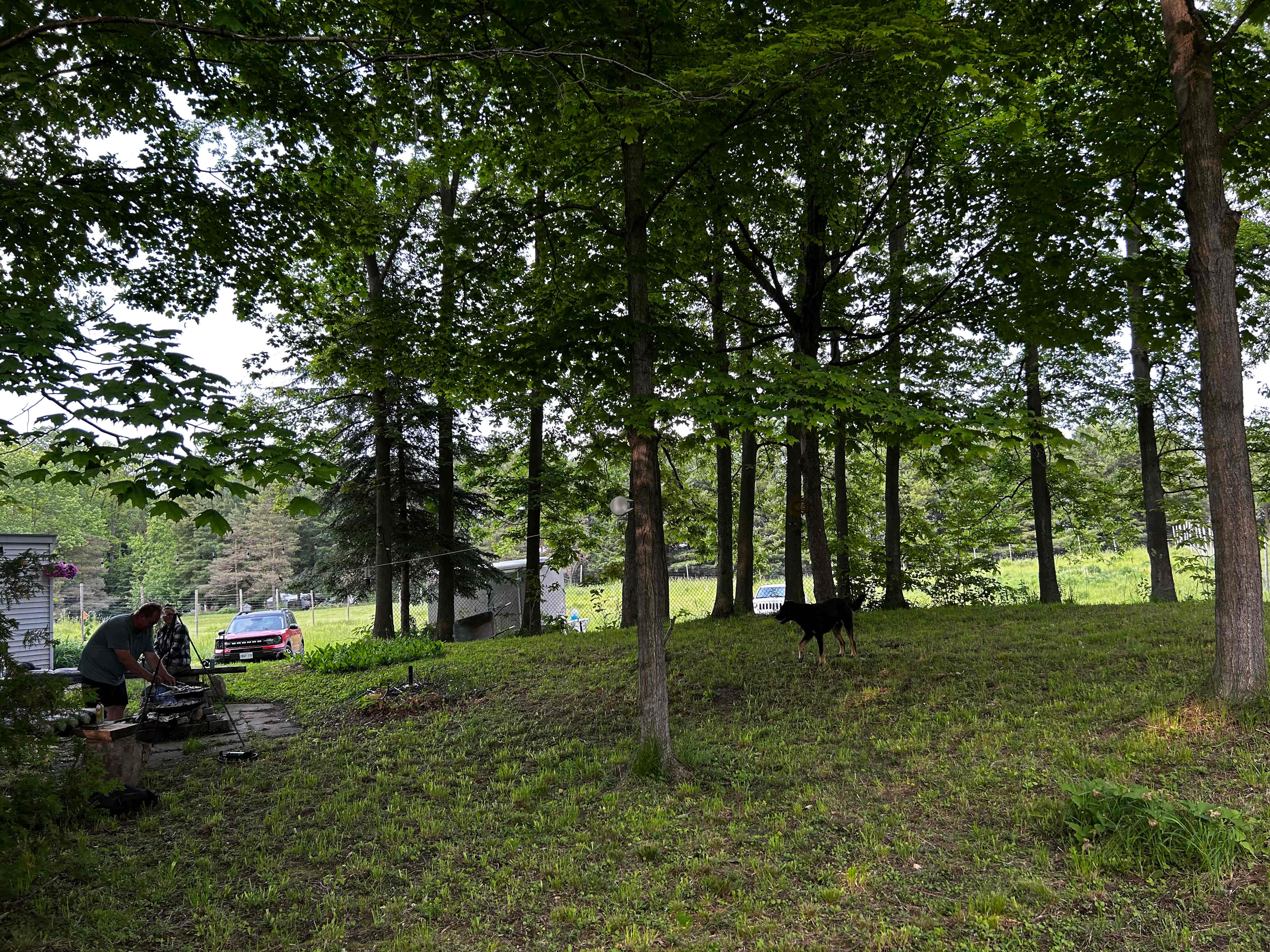 Picture of the site