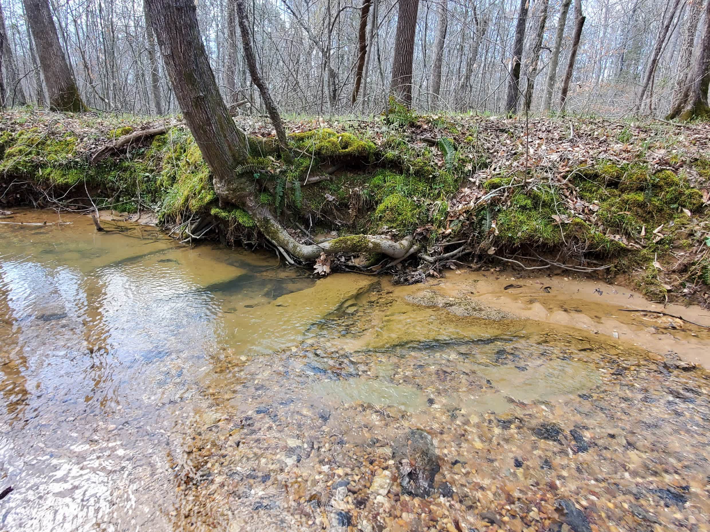 Wilderness Camp at Healing Springs
