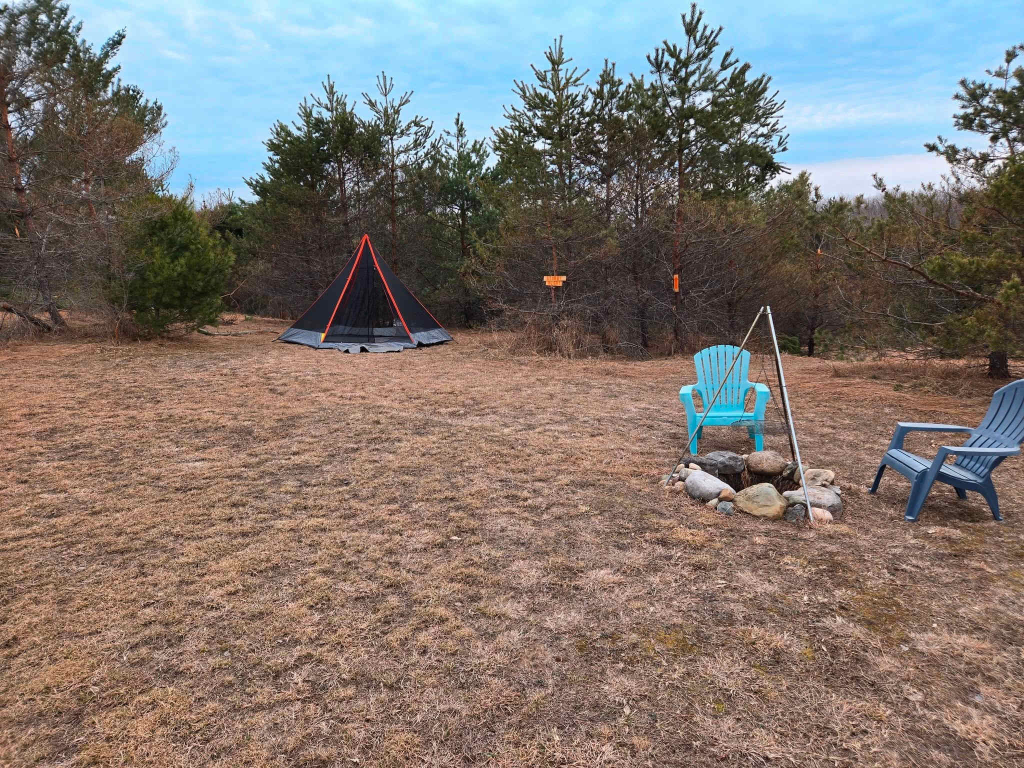 Picture of the site