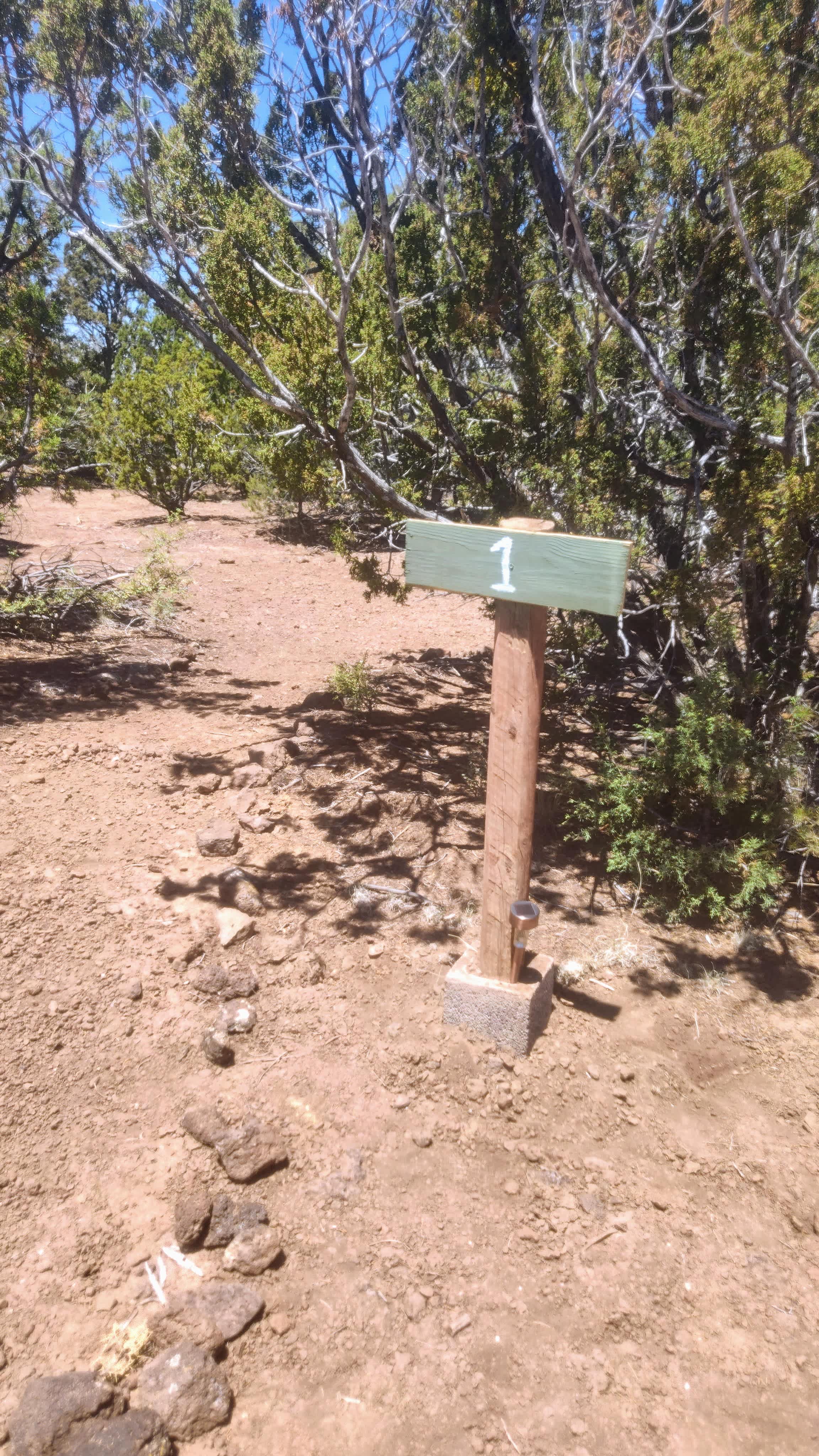 Picture of the site