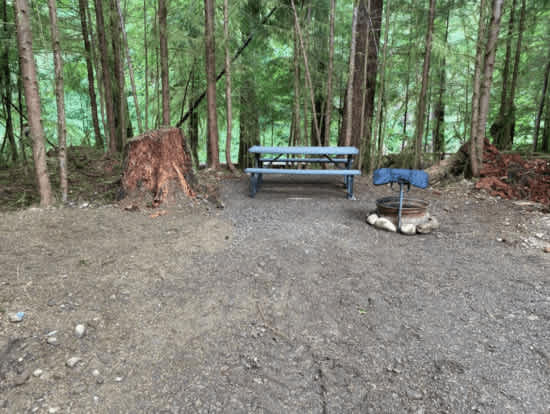 Picture of the site