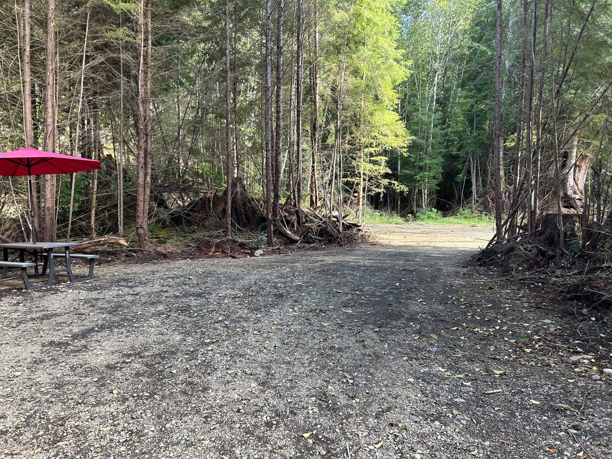 Picture of the site