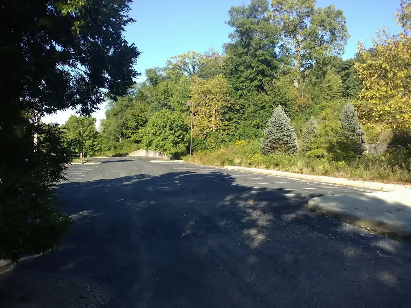 Wheelock Lake Campground