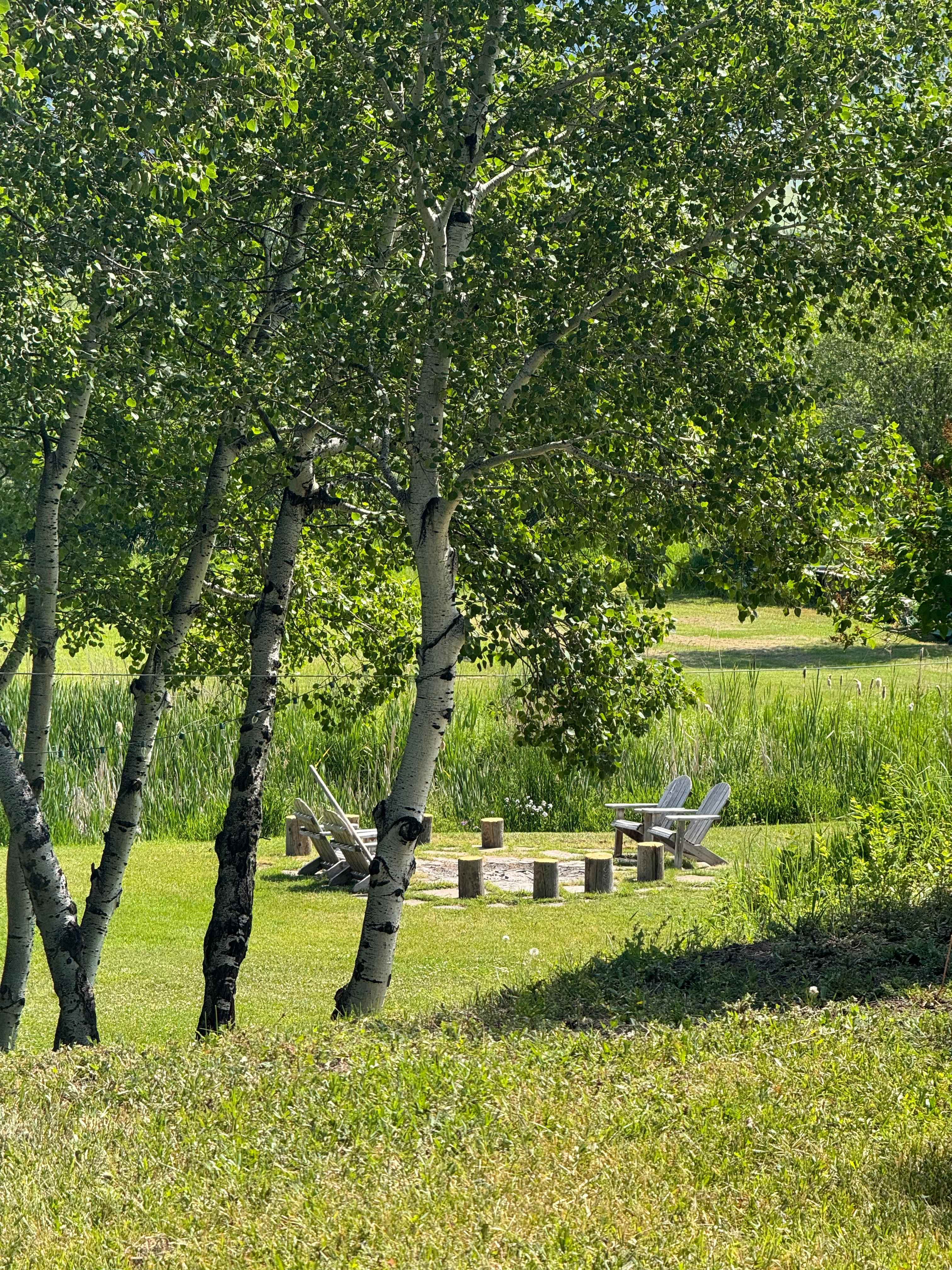 East Gallatin River Campsite