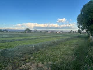 Hatch Farms RV and Camp Sites