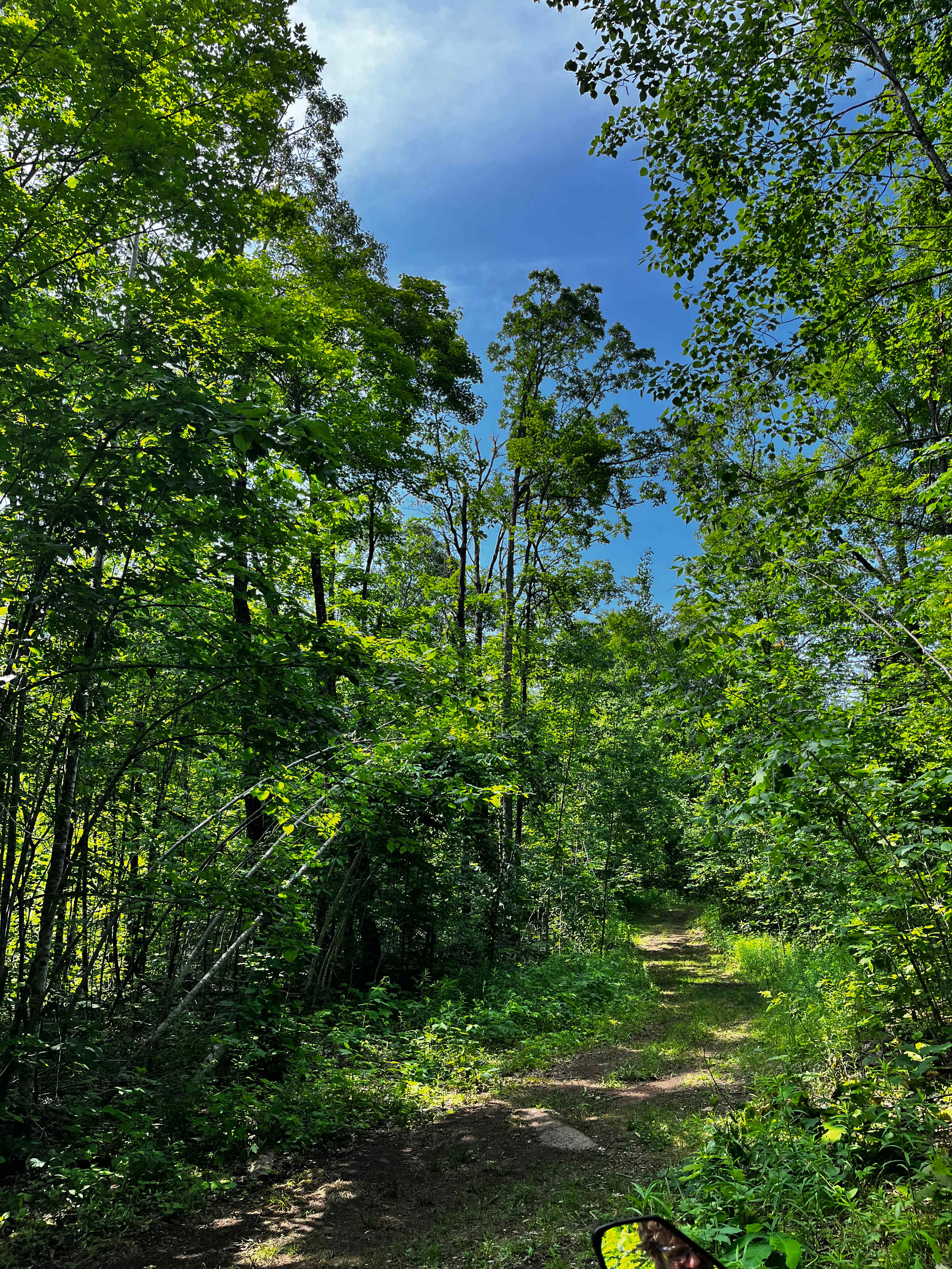 Green Acres