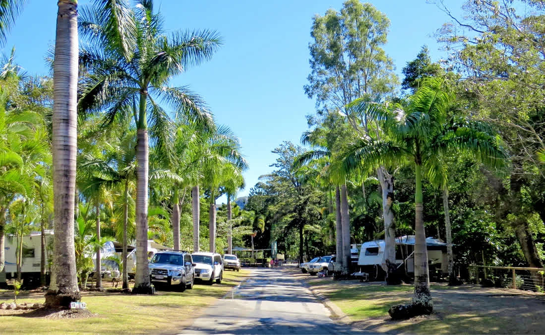Cape Hillsborough Nature Tourist Park