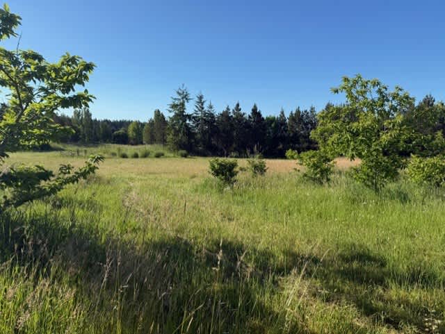 Sunnyfield Farm