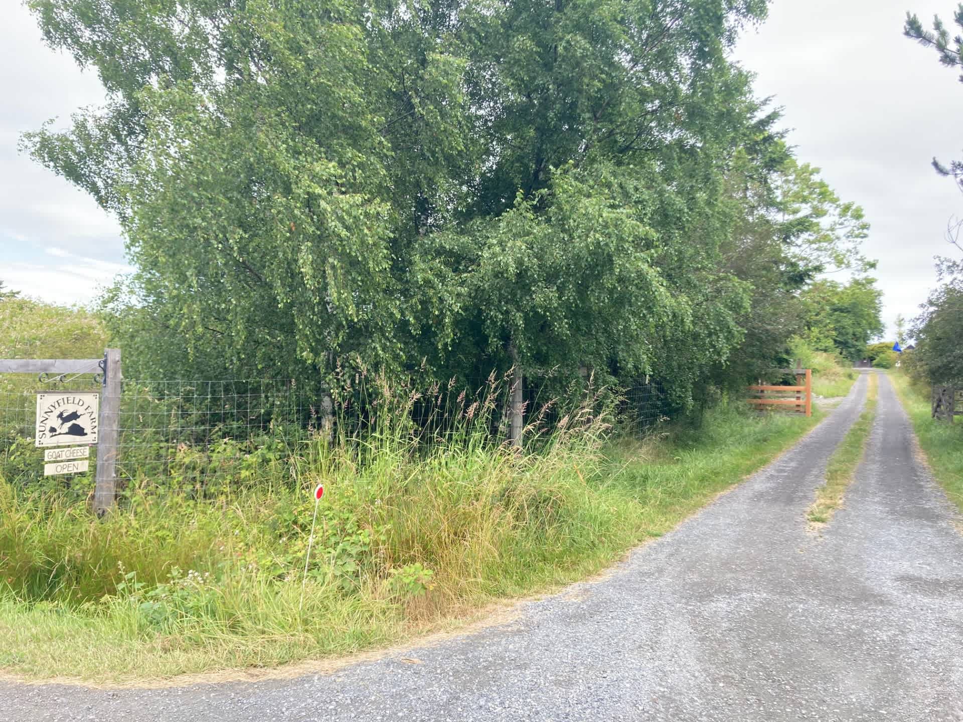Sunnyfield Farm